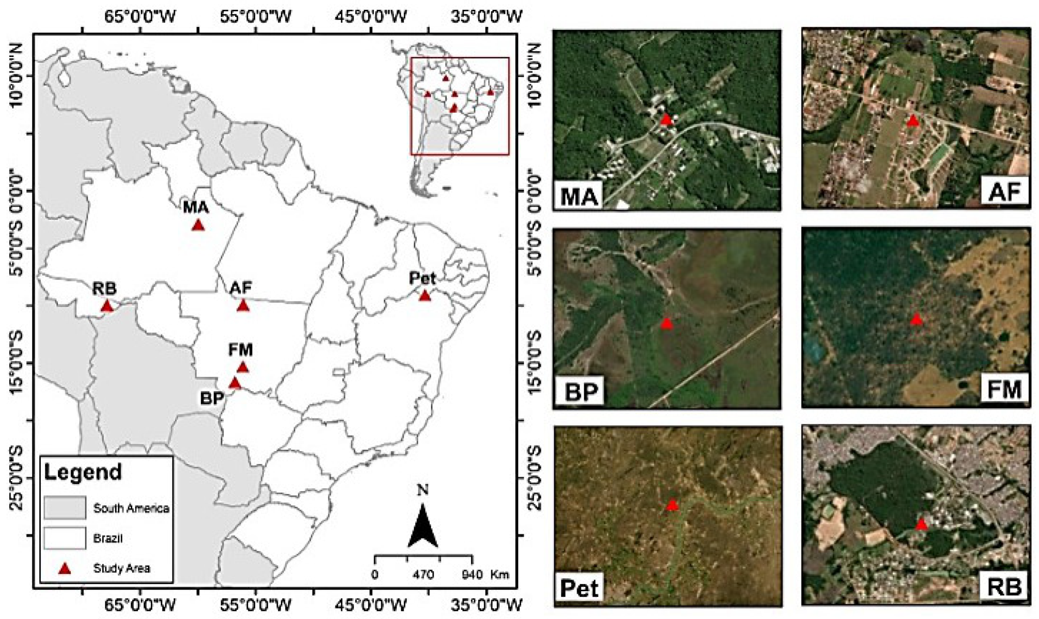 Forests 14 01543 g001