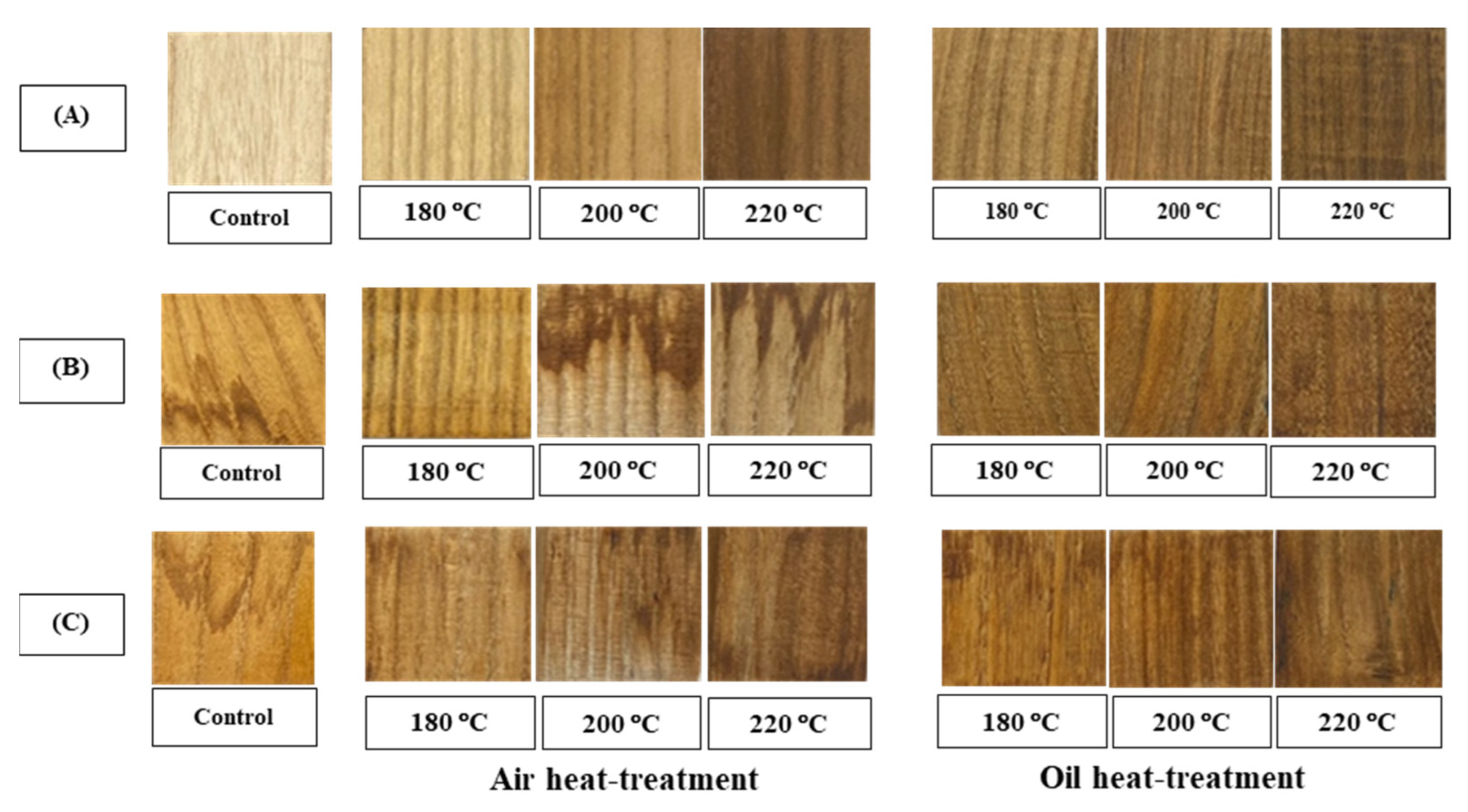 Forests 14 01546 g002