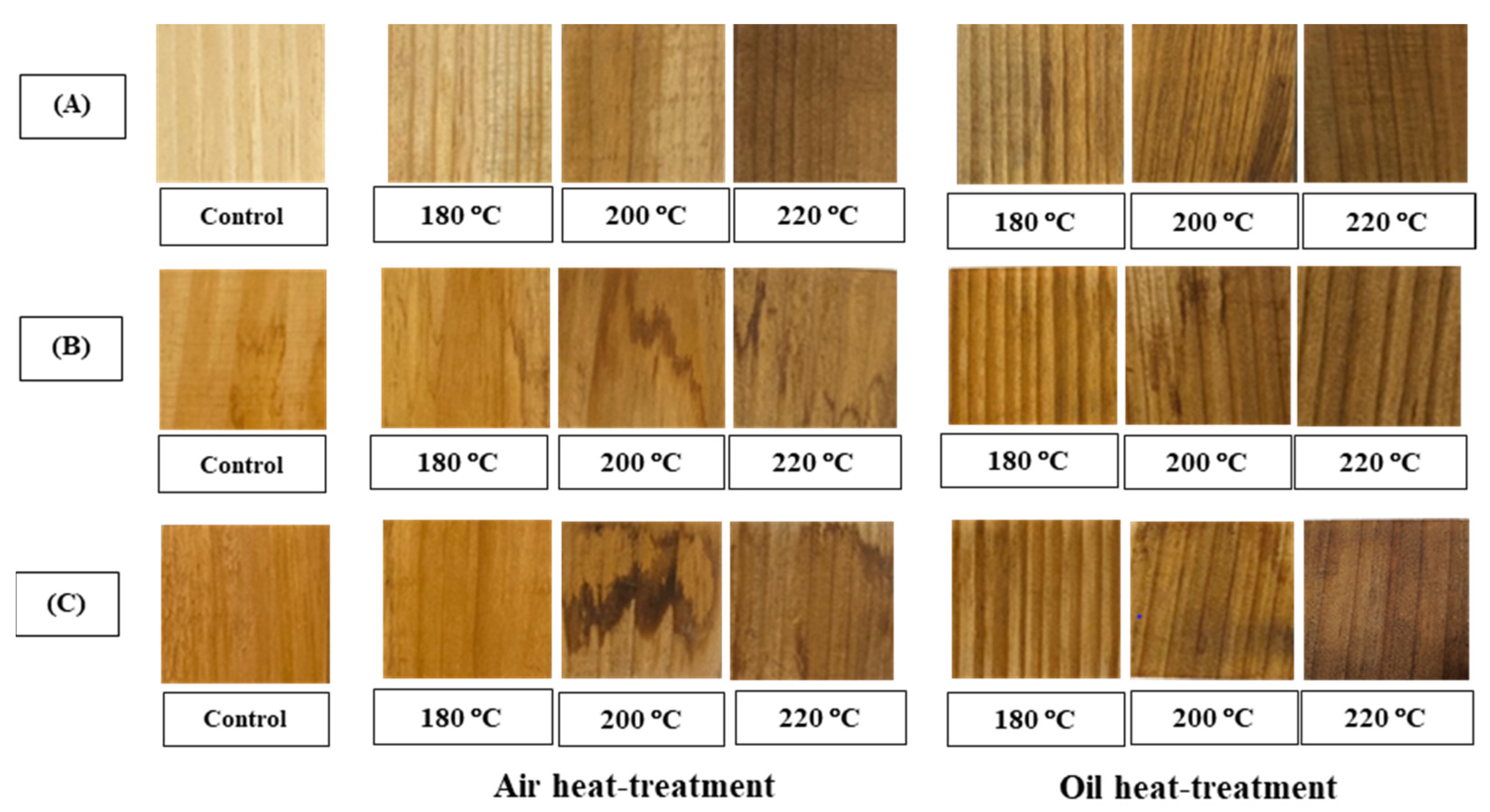 Forests 14 01546 g003