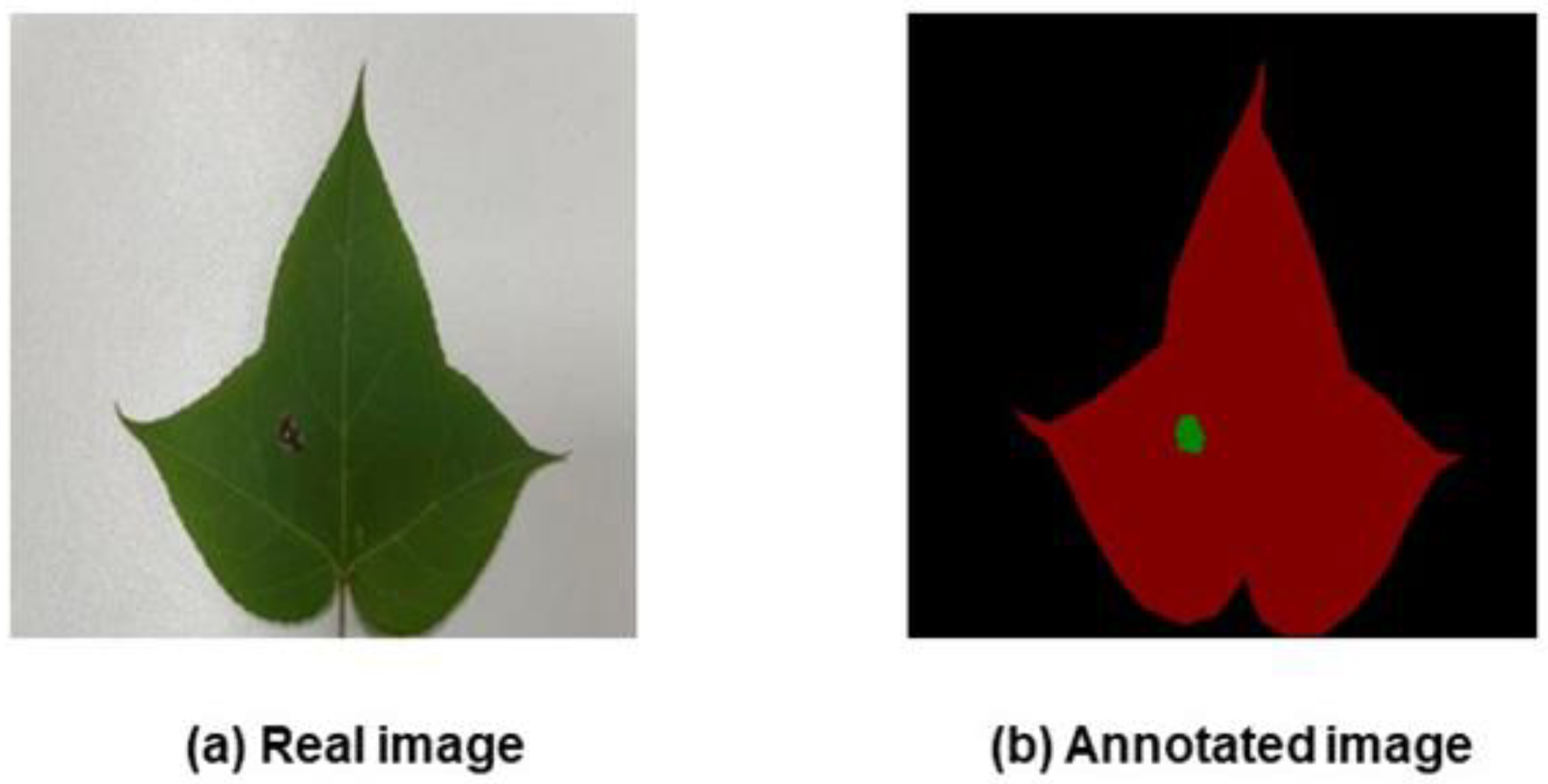 Forests 14 01547 g002