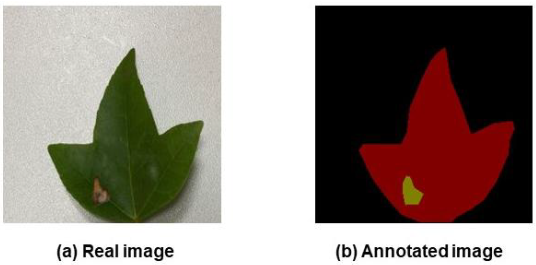 Forests 14 01547 g003
