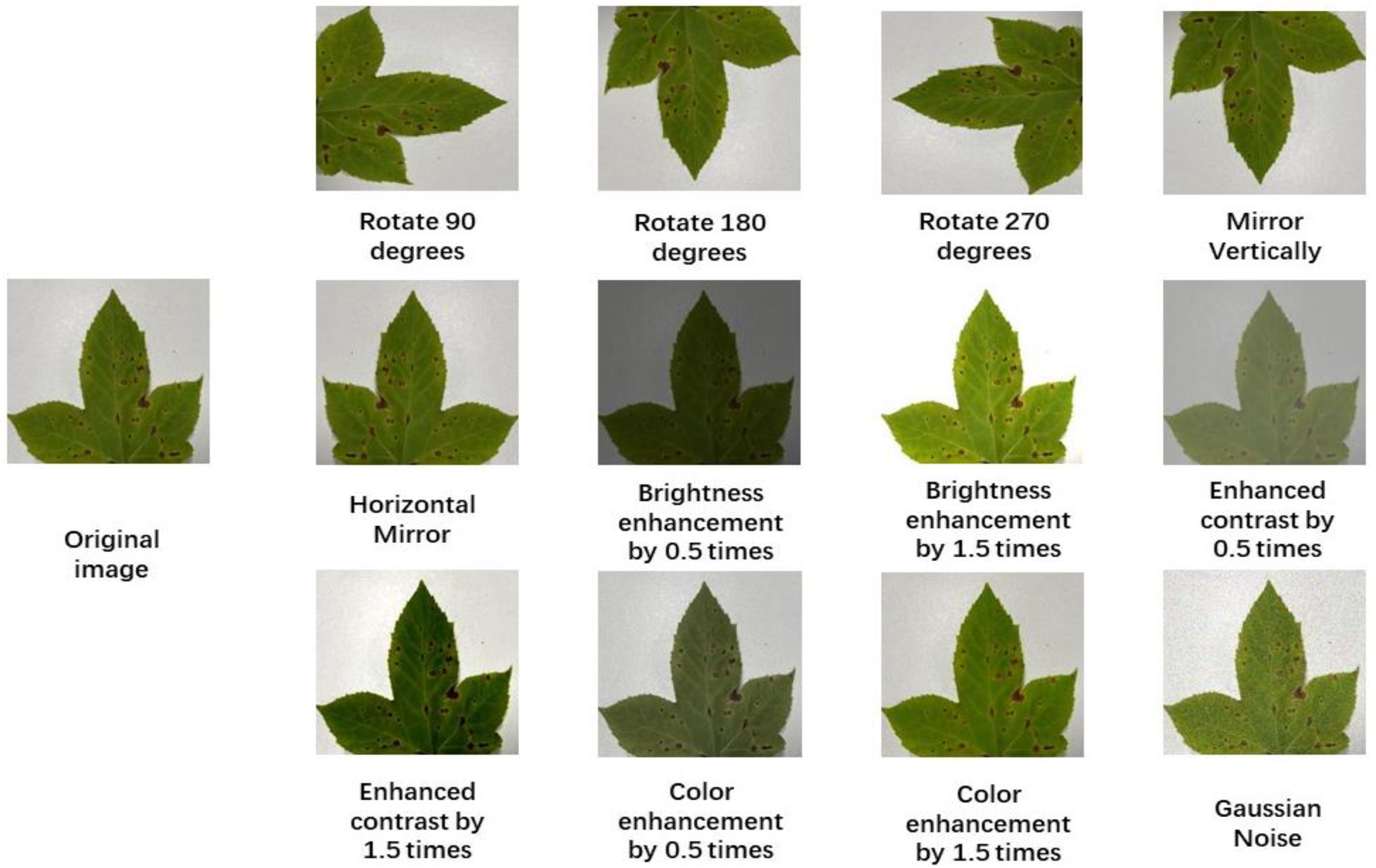 Forests 14 01547 g004