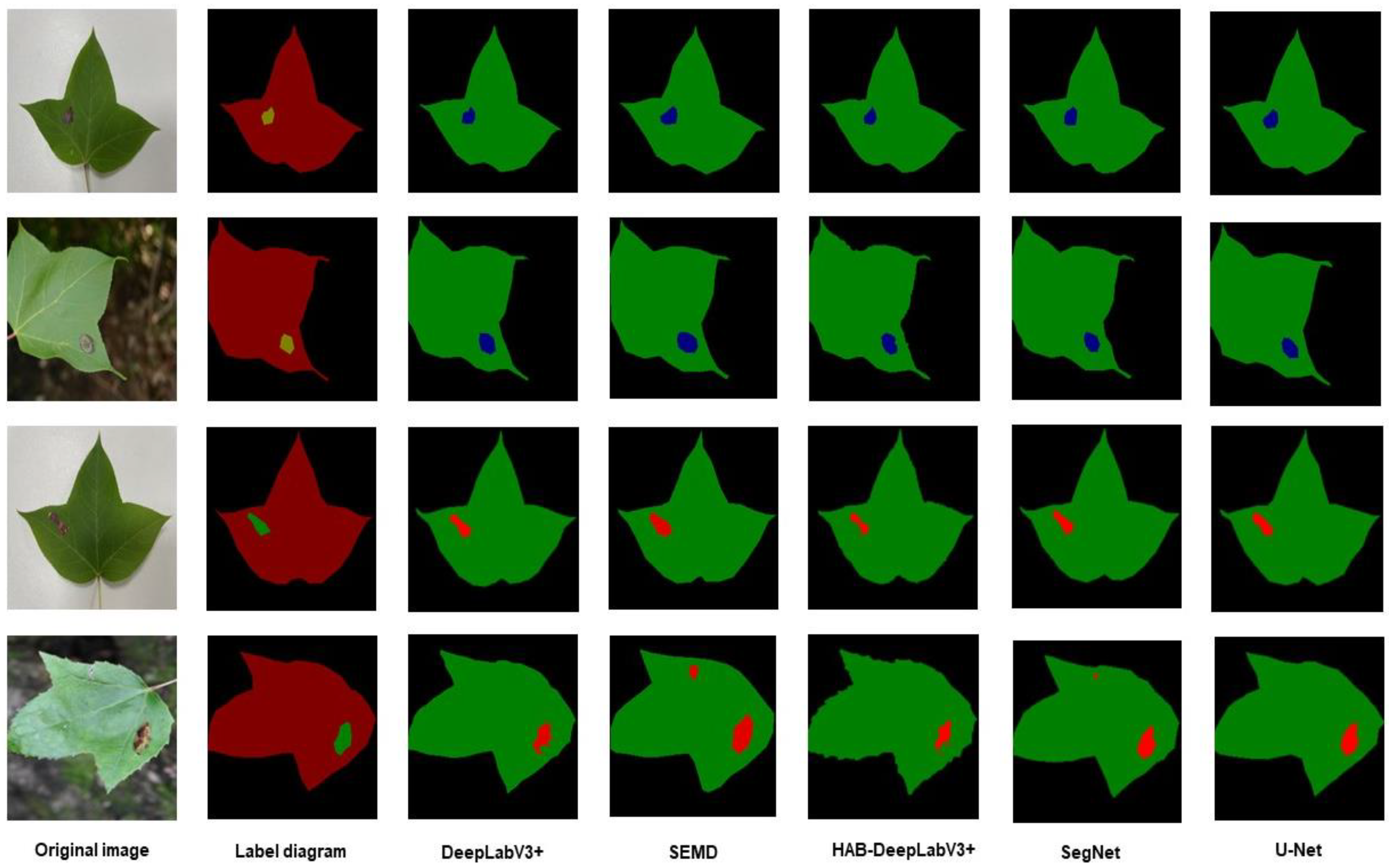Forests 14 01547 g015