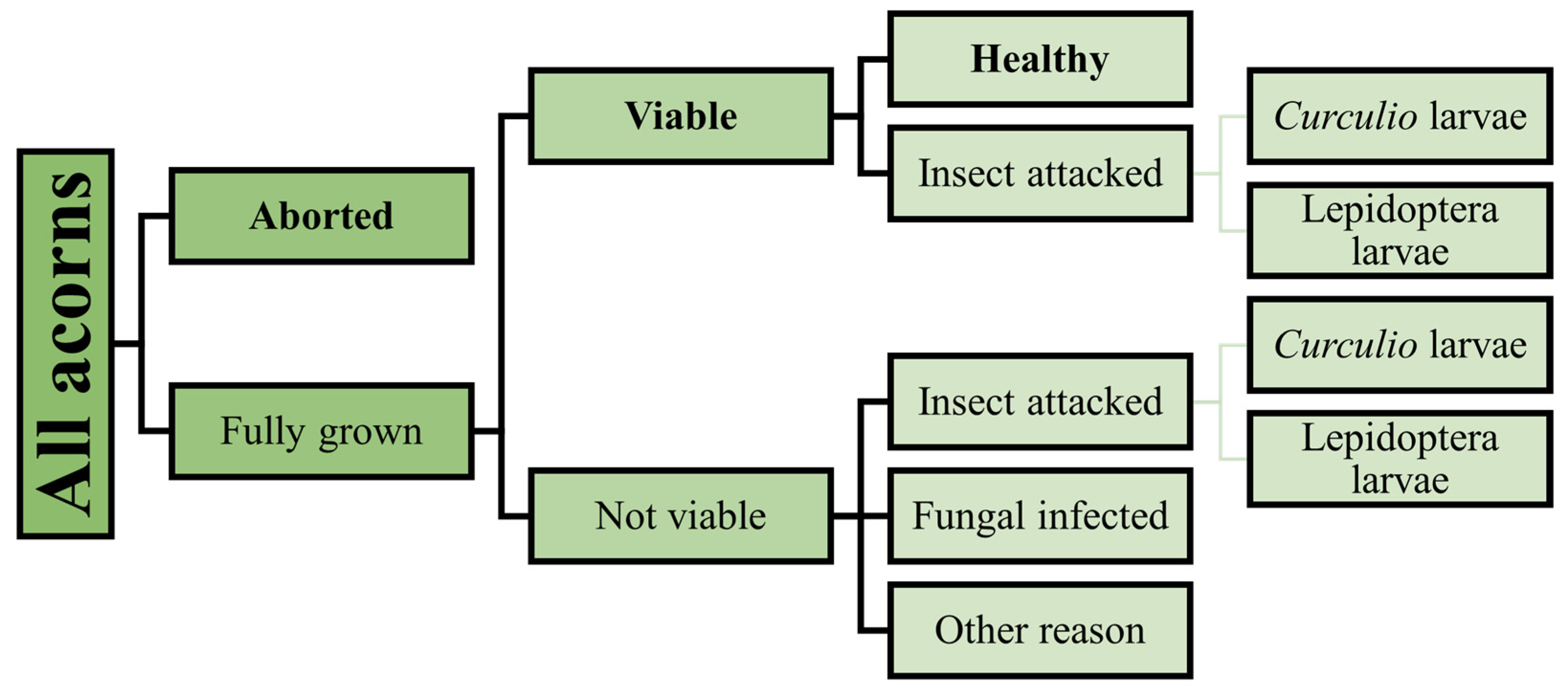 Forests 14 01548 g003 Forests 14 01548 g003