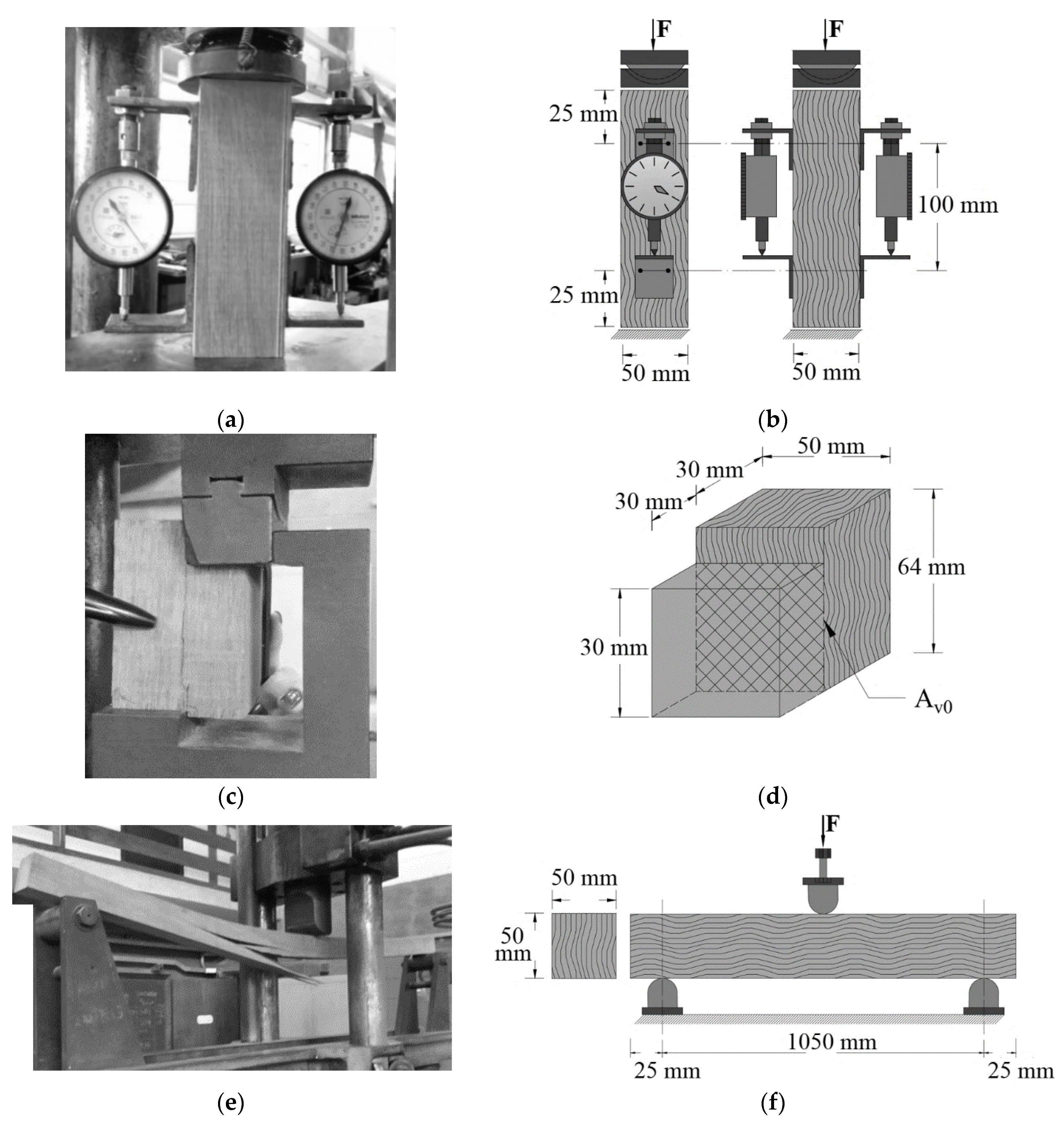 Forests 14 01552 g001