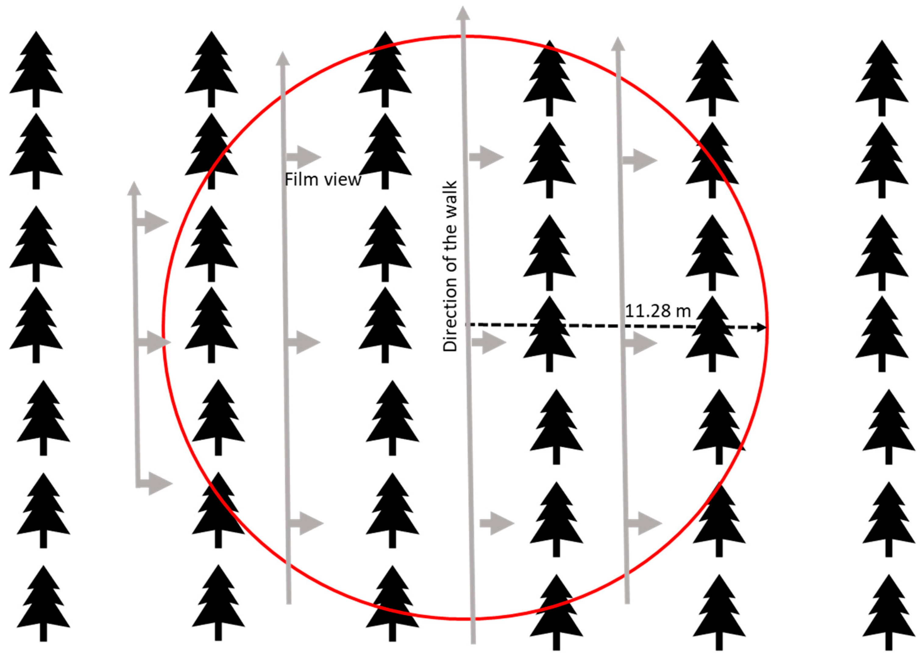 Forests 14 01553 g005 Forests 14 01553 g005