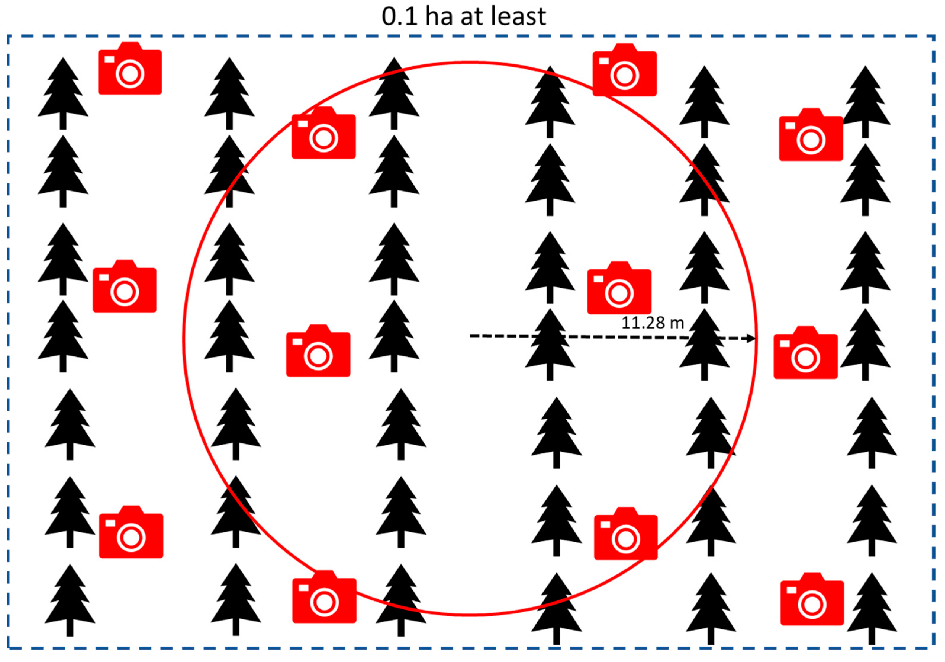 Forests 14 01553 g006 Forests 14 01553 g006