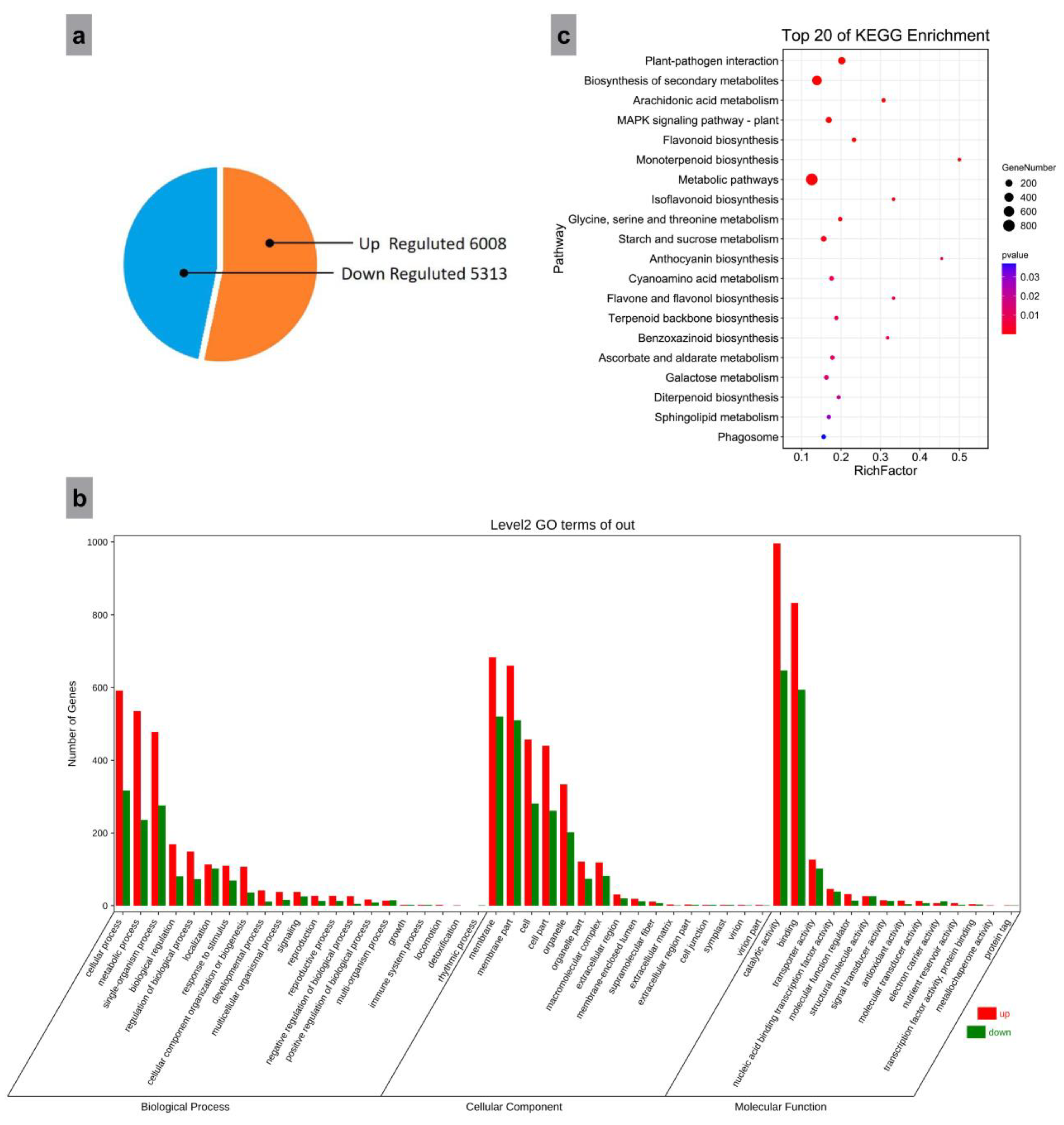 Forests 14 01554 g006