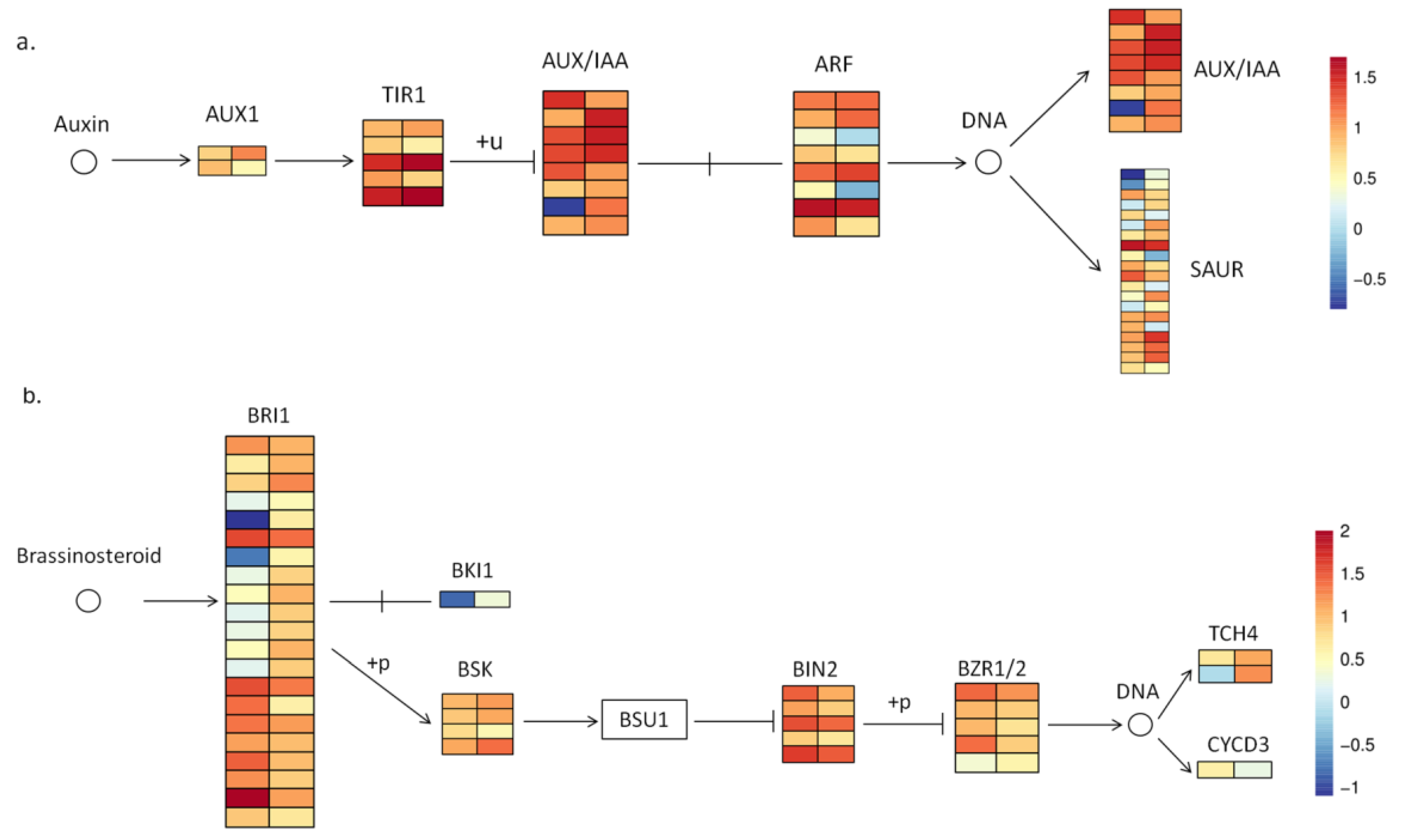 Forests 14 01554 g008