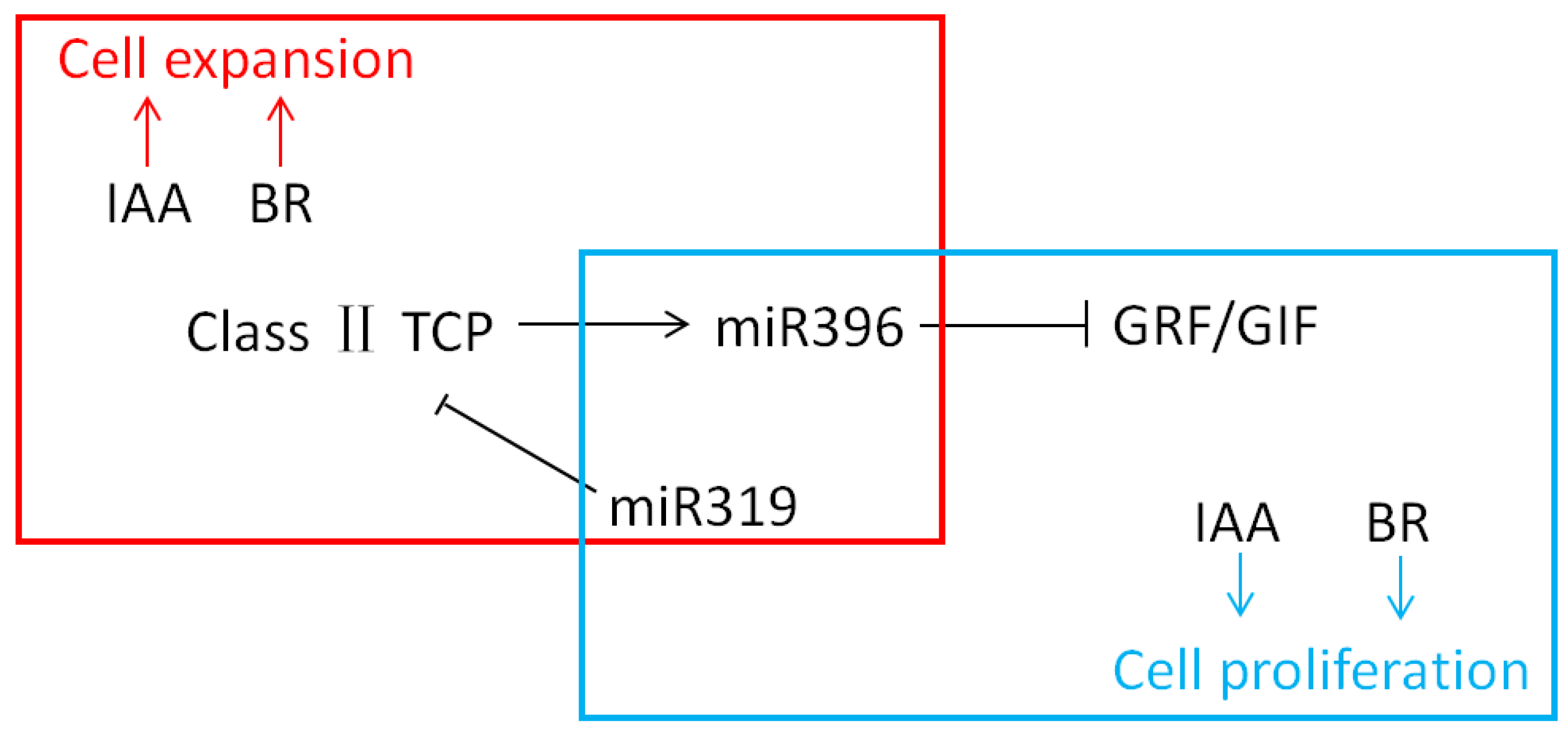 Forests 14 01554 g014
