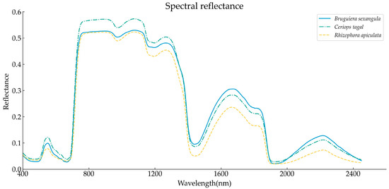 Recent Advances in Metal Oxide Semiconductor Heterojunctions