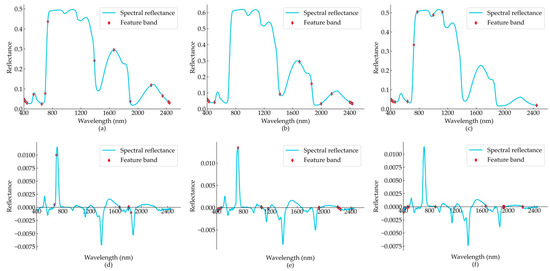 Hyperspectral Analysis and Regression Modeling of SPAD