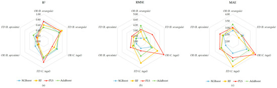 Hyperspectral Analysis and Regression Modeling of SPAD