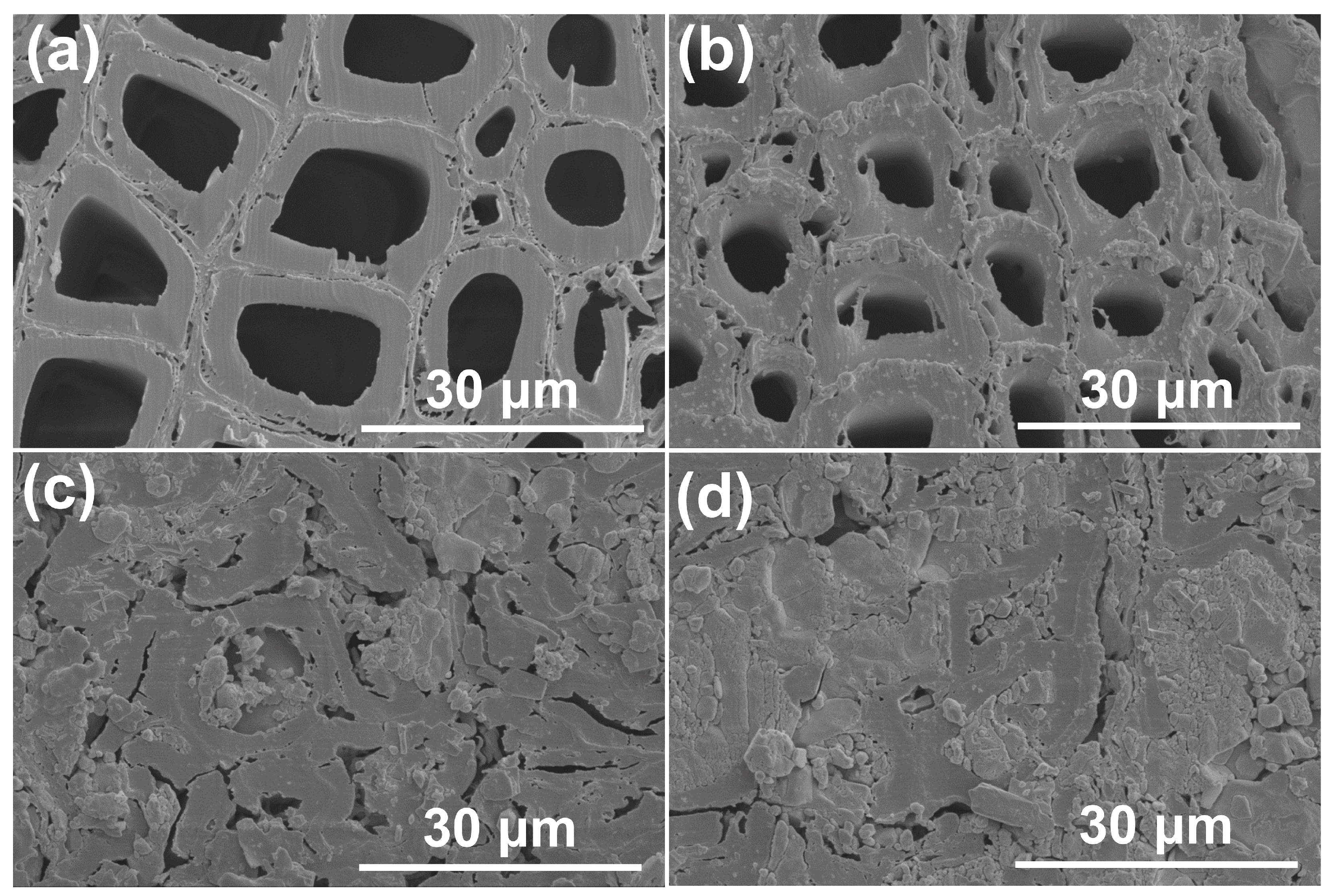 Forests 14 01567 g001 Forests 14 01567 g001