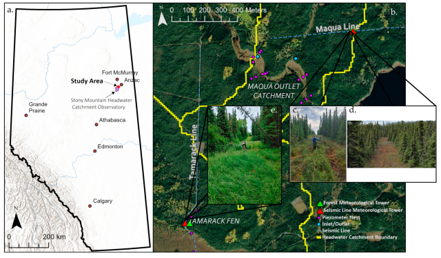 Forests 14 01574 g001 Forests 14 01574 g001