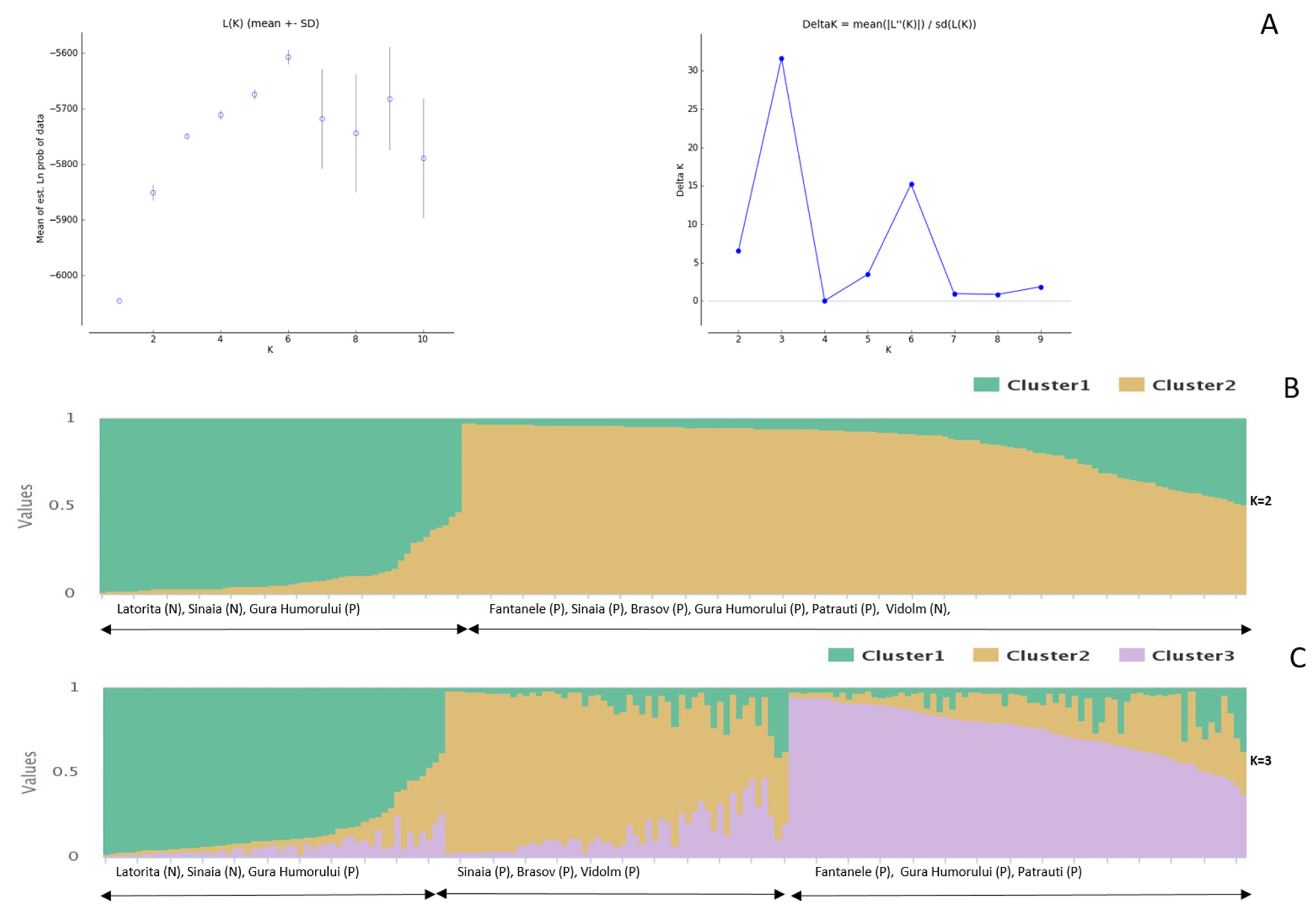 Forests 14 01575 g001