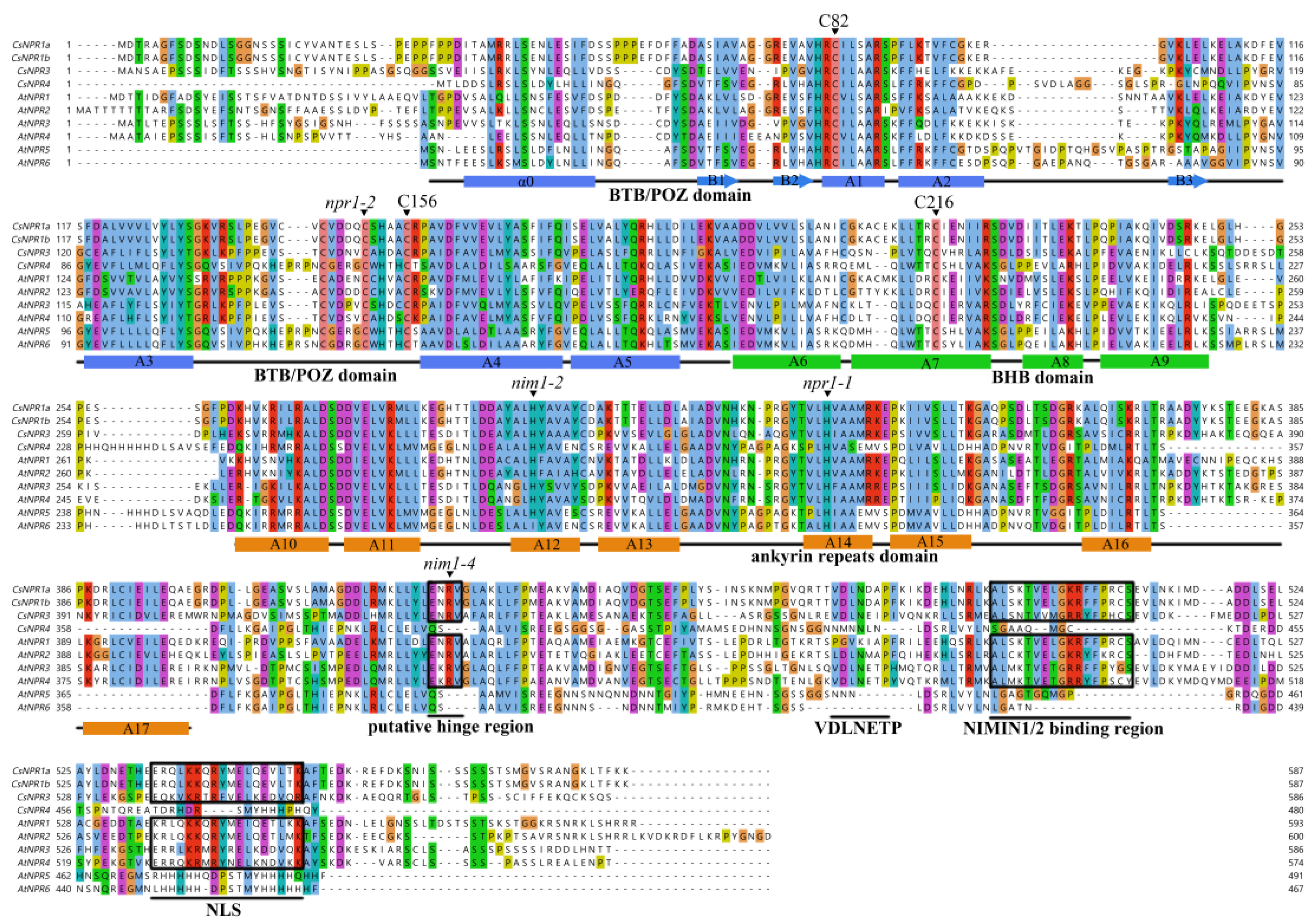 Forests 14 01578 g001 Forests 14 01578 g001