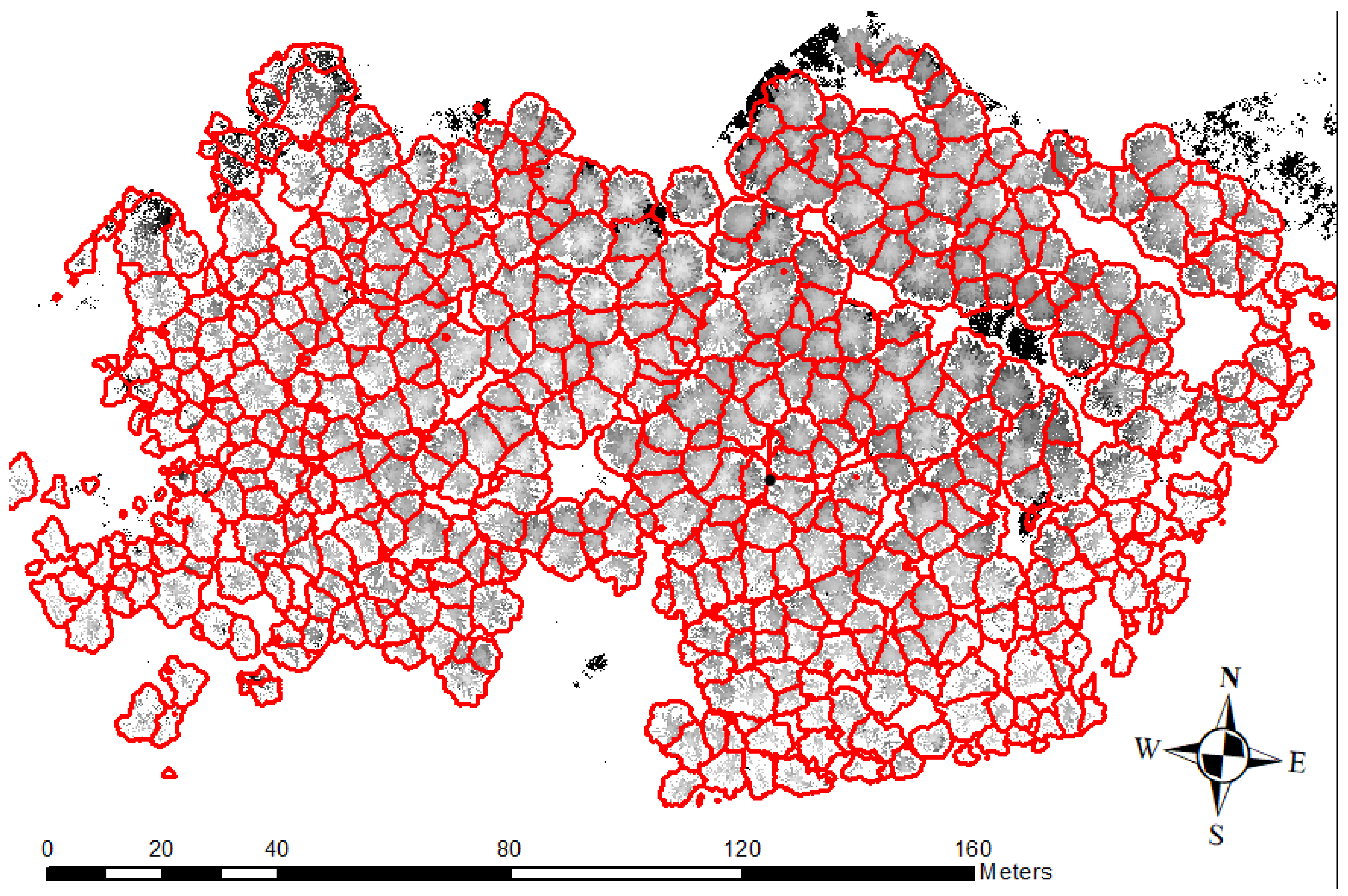 Forests 14 01581 g004