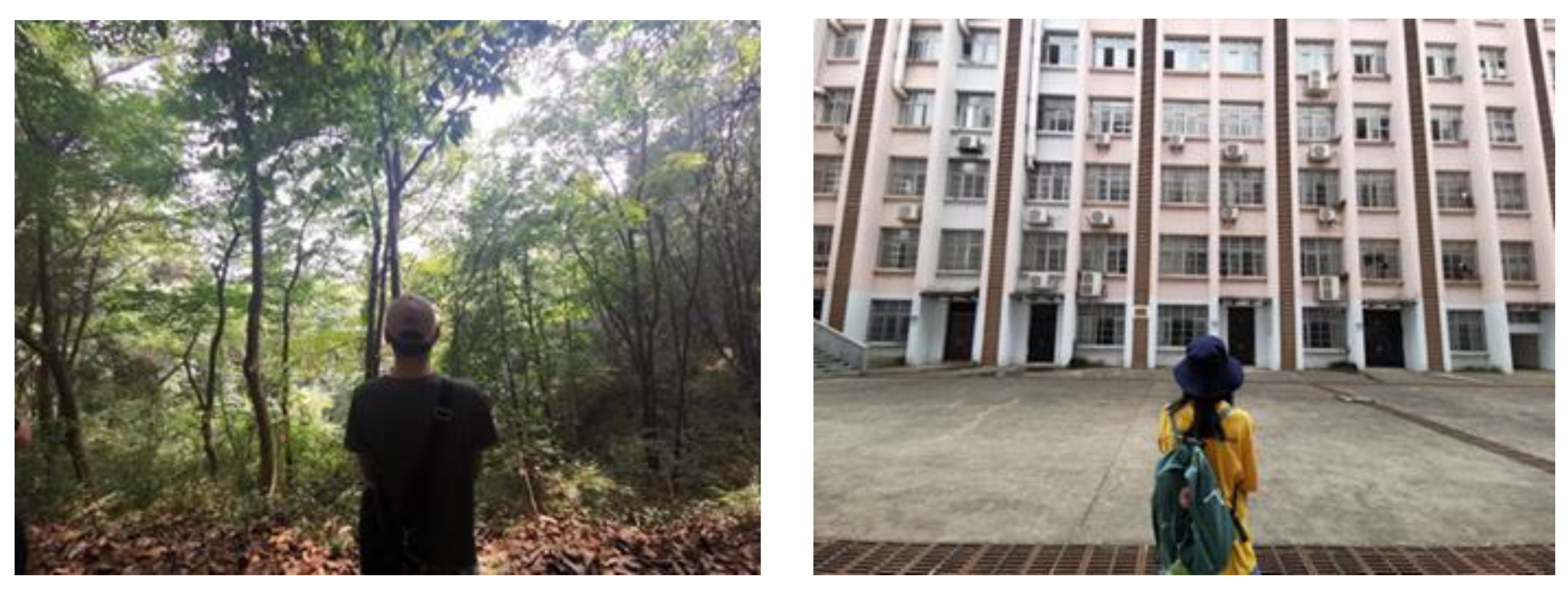 Forests 14 01592 g002