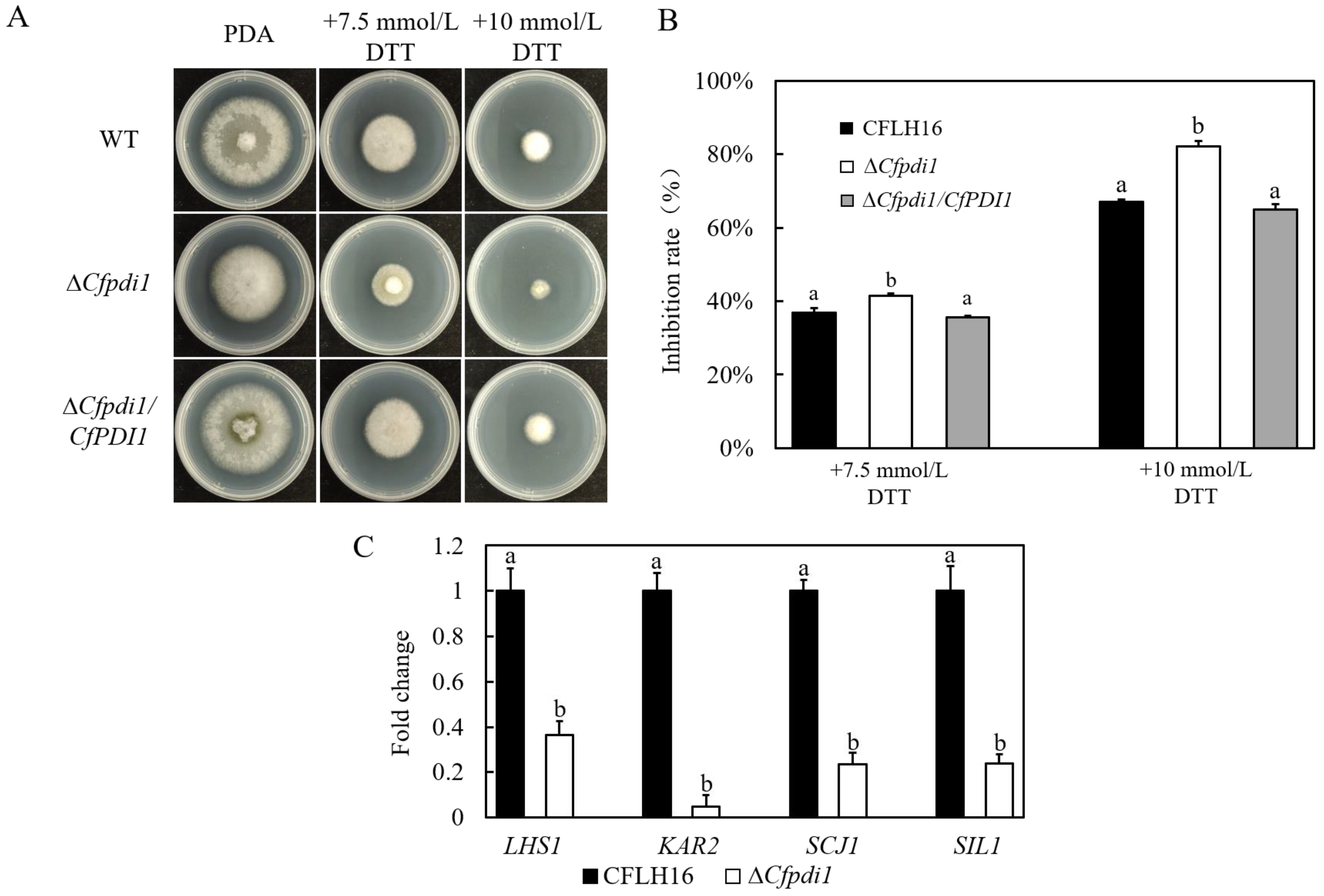 Forests 14 01597 g006