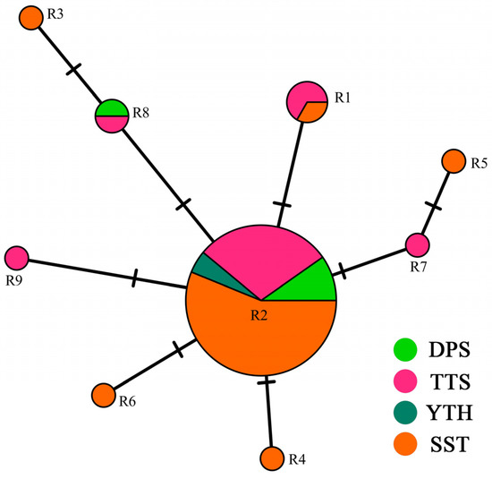 Genetic Diversity of Carpinus tientaiensis Cheng, an Endemic and
