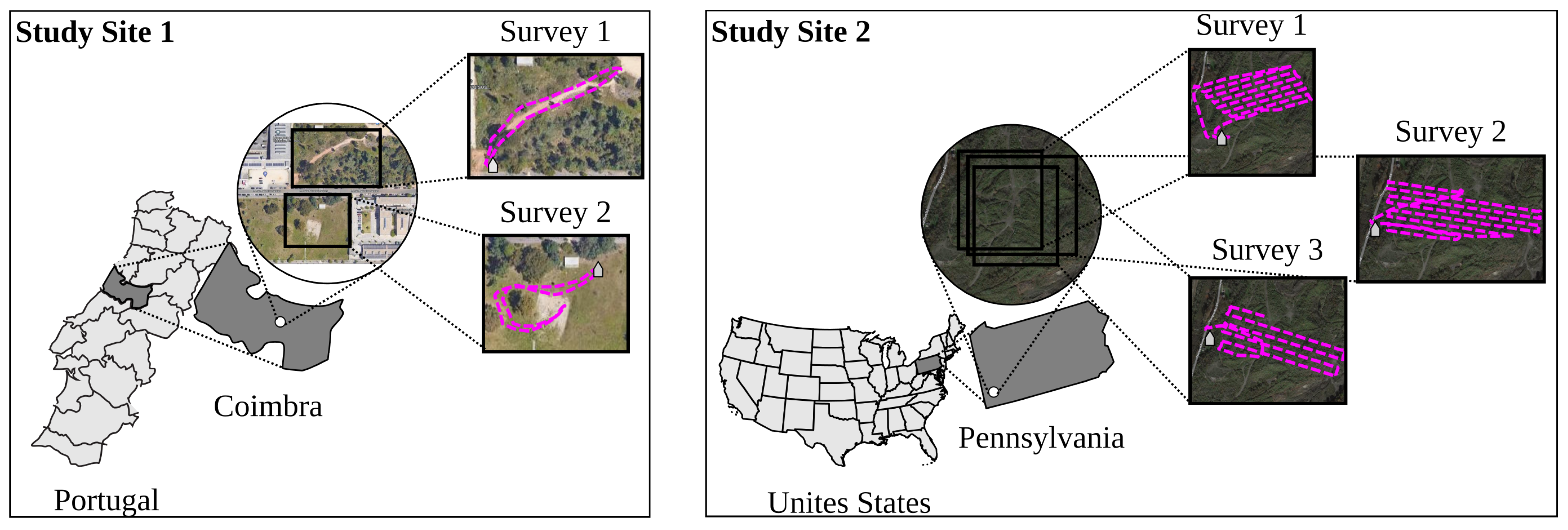 Forests 14 01601 g003