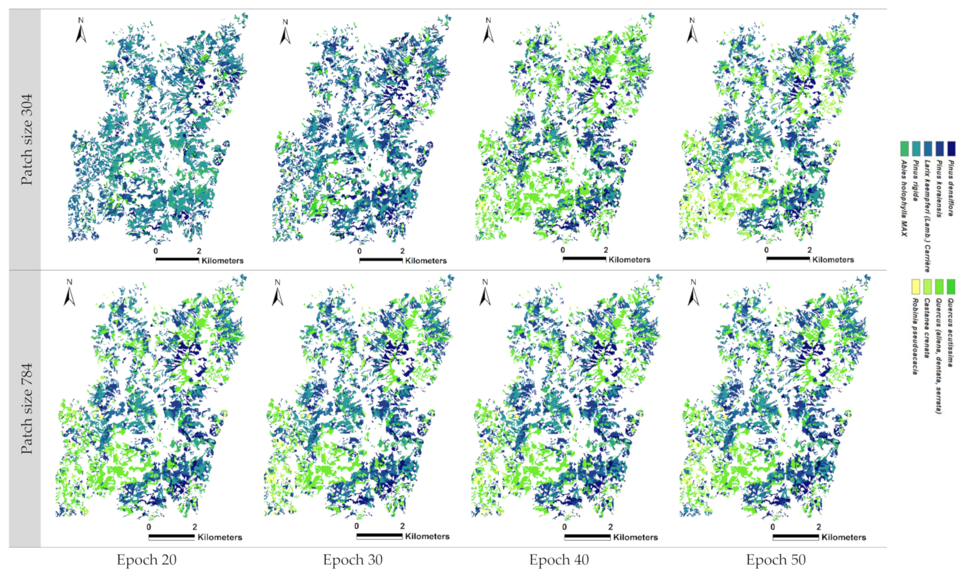 Forests 14 01602 g0a5
