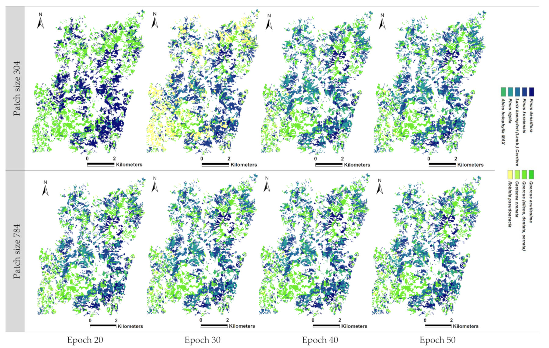 Forests 14 01602 g0a6
