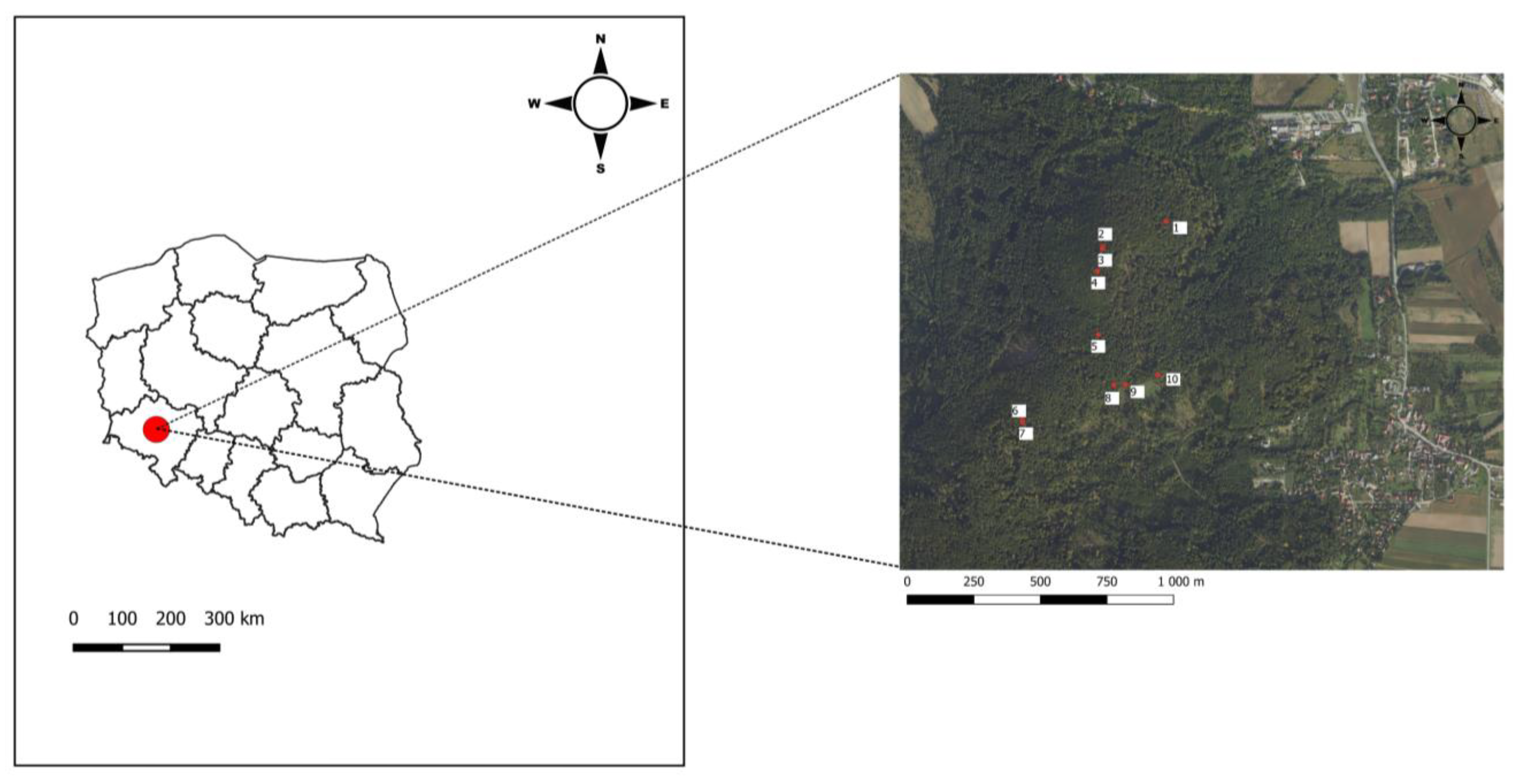 Forests 14 01605 g001
