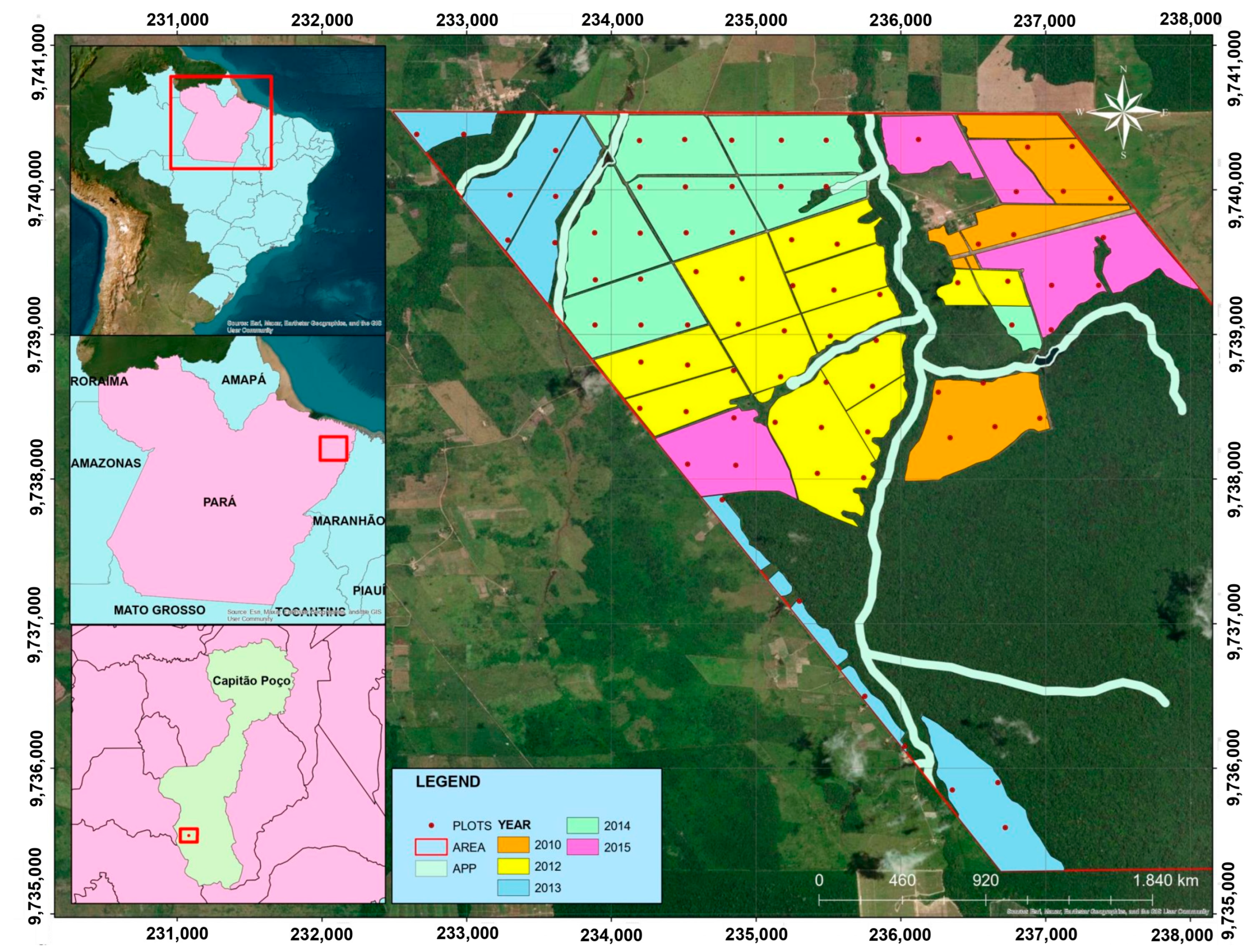 Forests 14 01613 g001 Forests 14 01613 g001