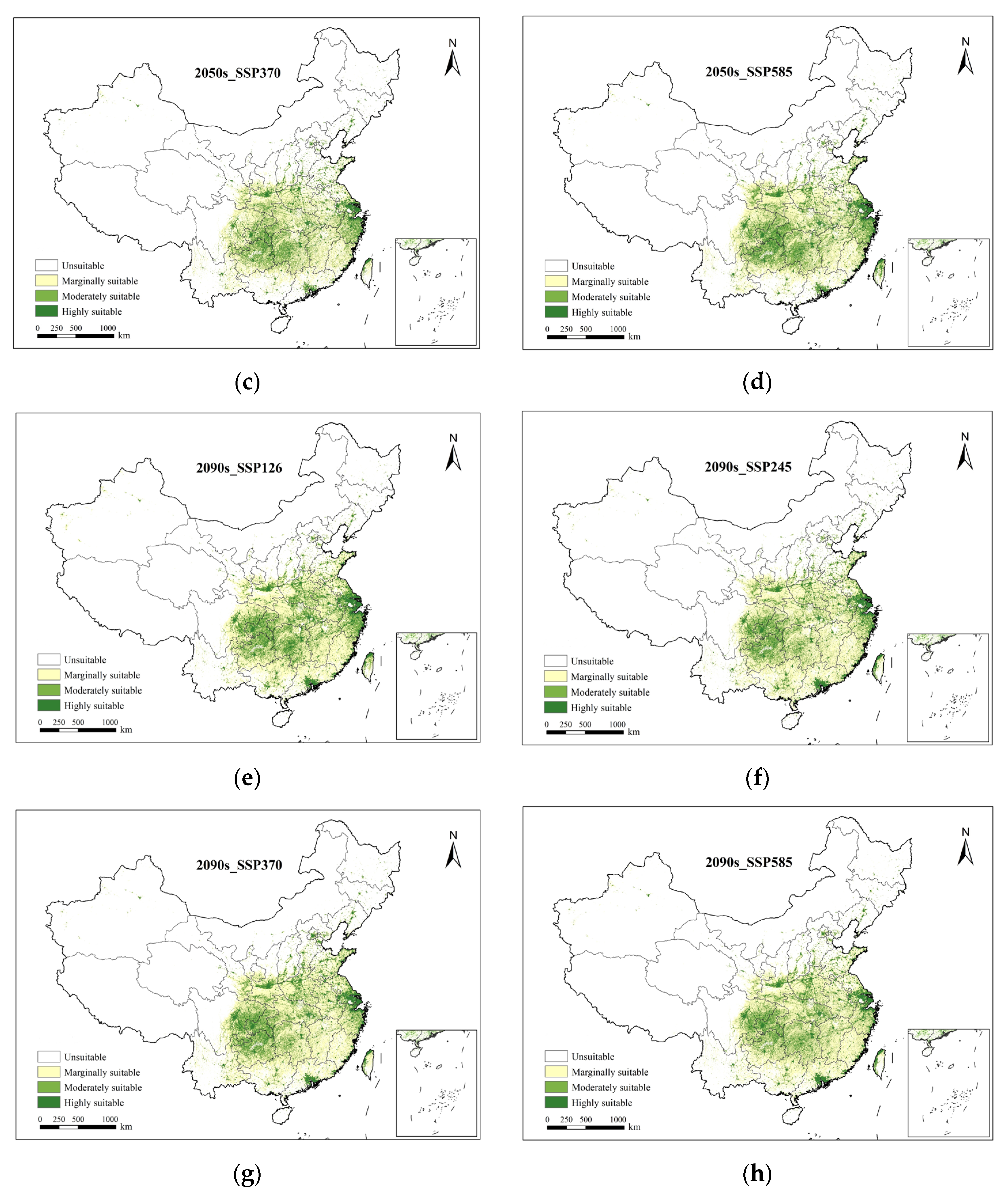 Forests 14 01618 g005b