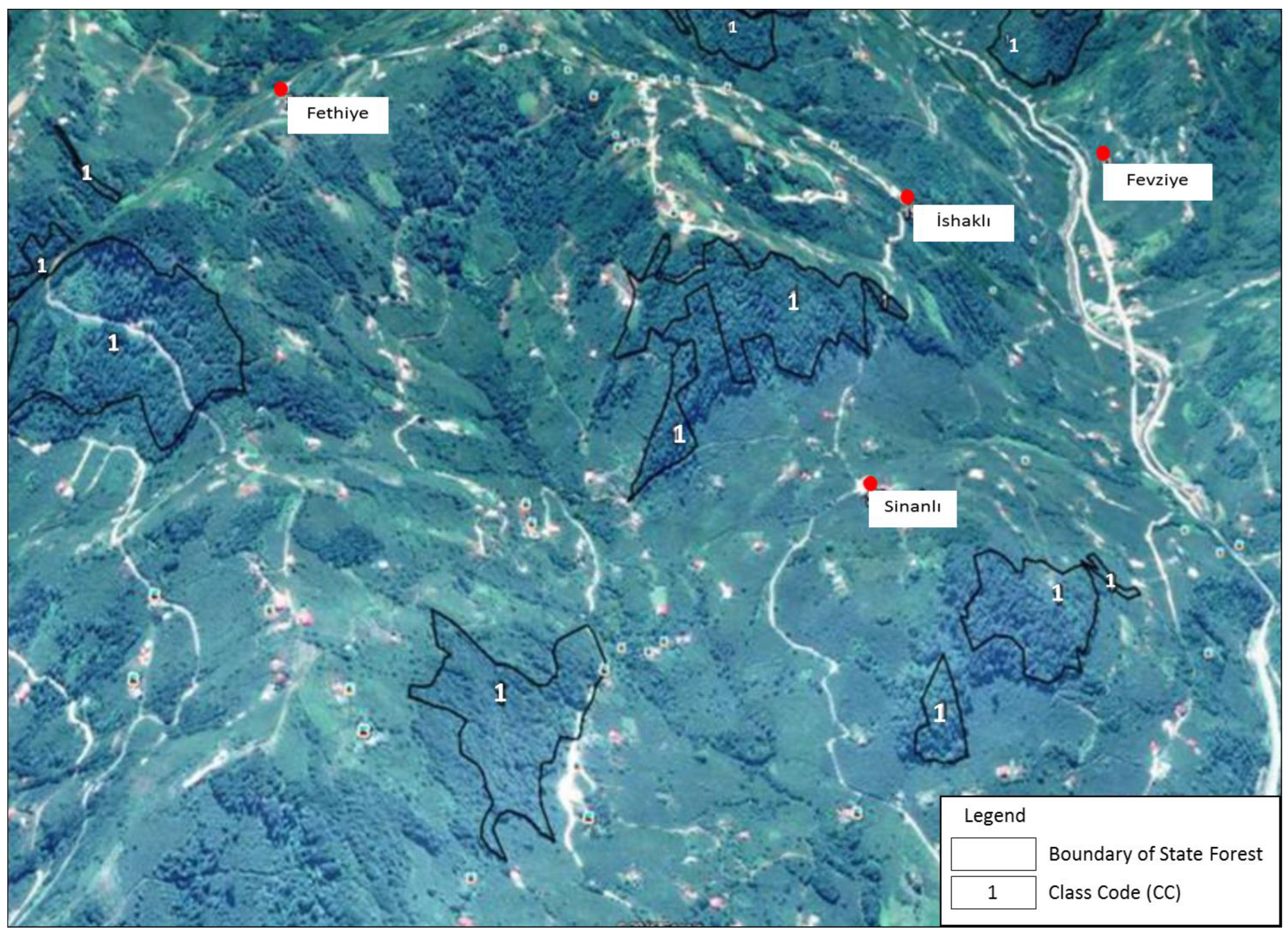 Forests 14 01622 g005 Forests 14 01622 g005