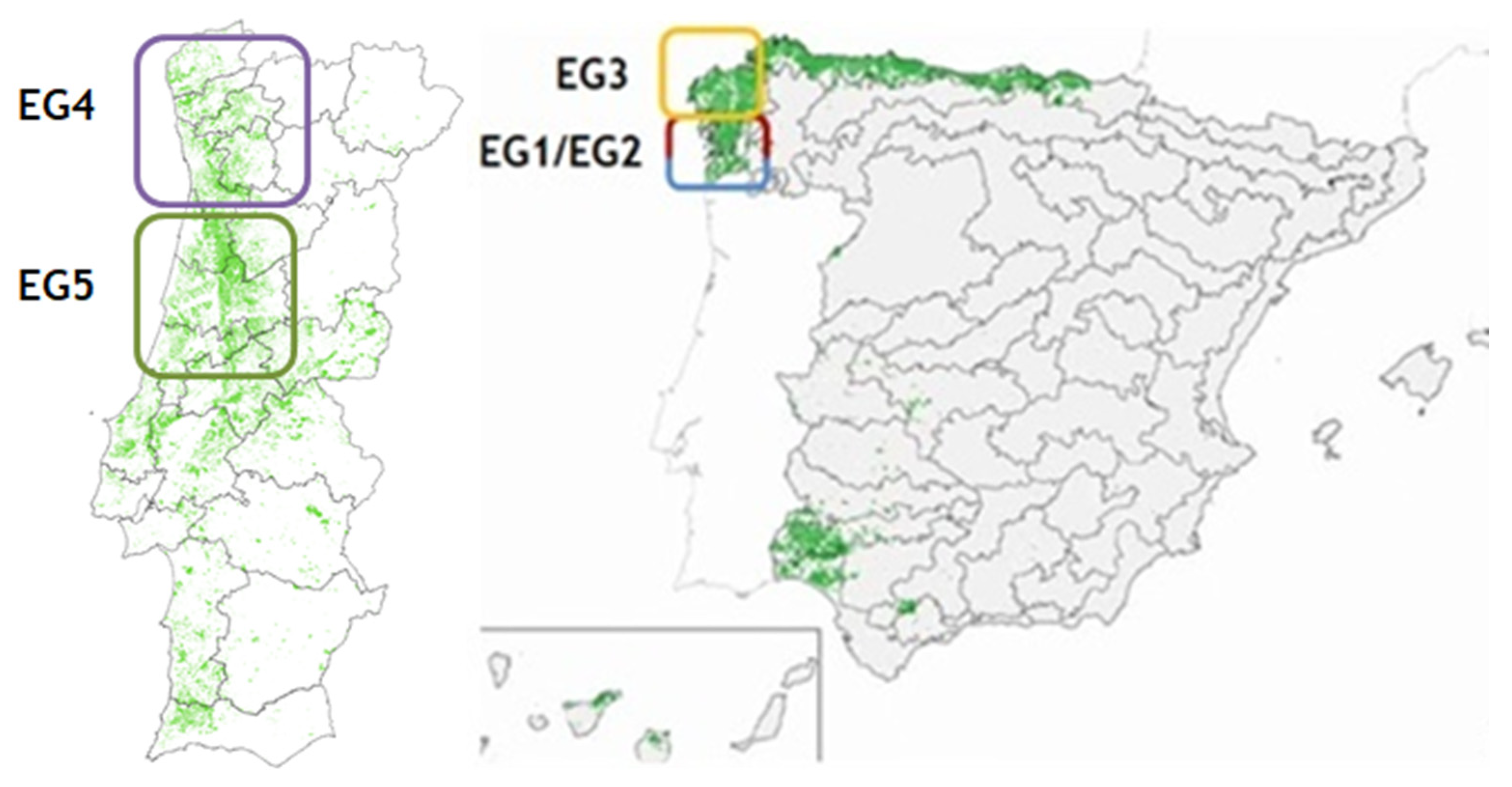 Forests 14 01623 g001