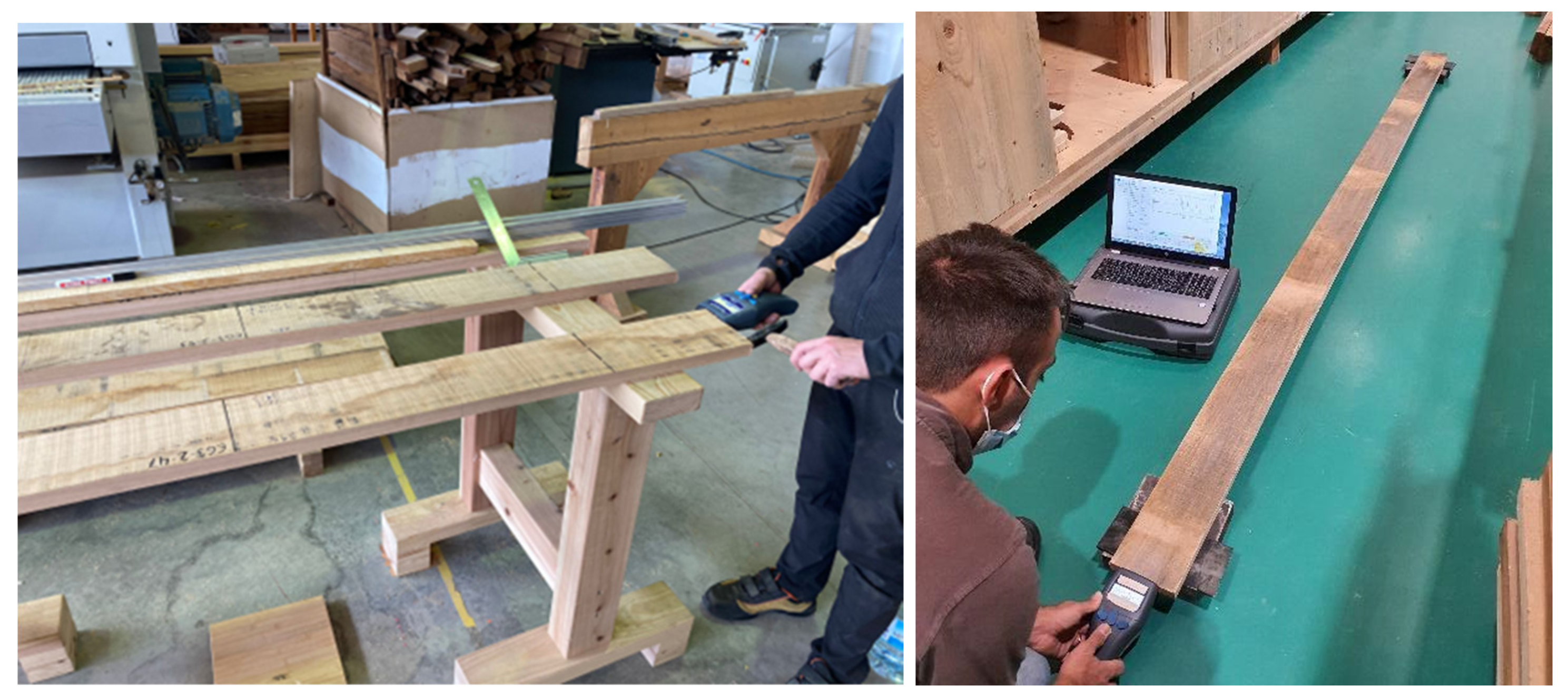 Forests 14 01623 g002