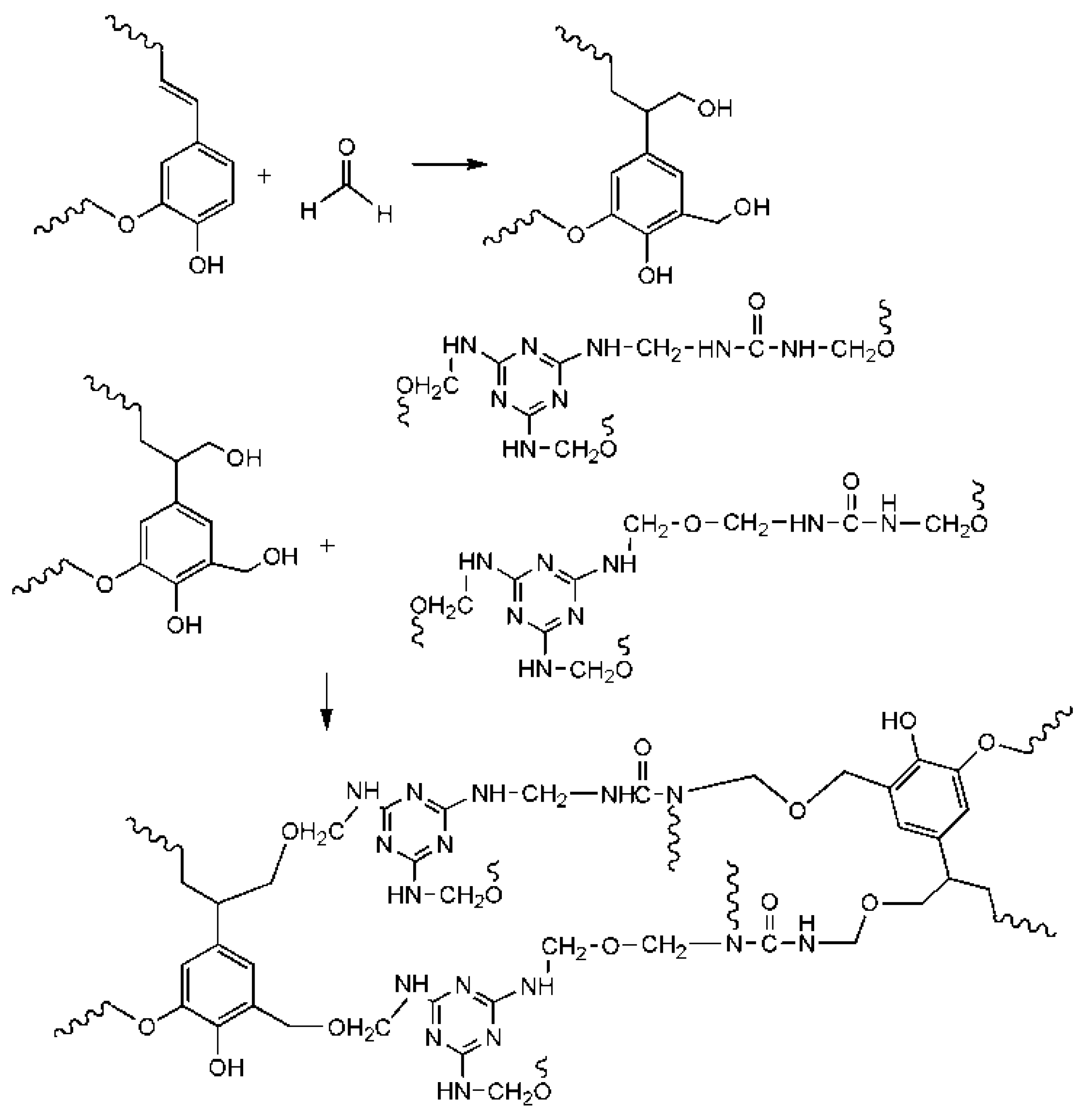 Forests 14 01625 g013