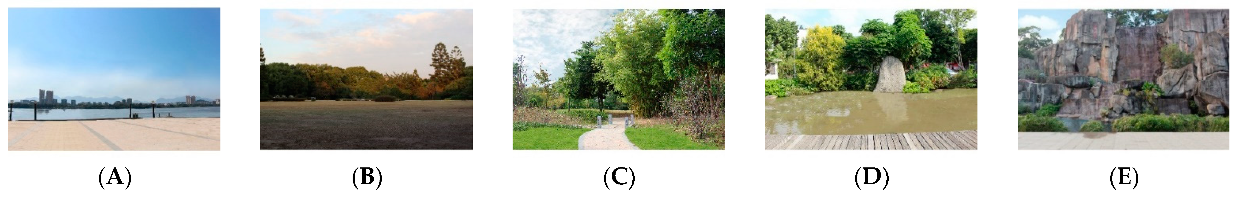 Forests 14 01628 g001