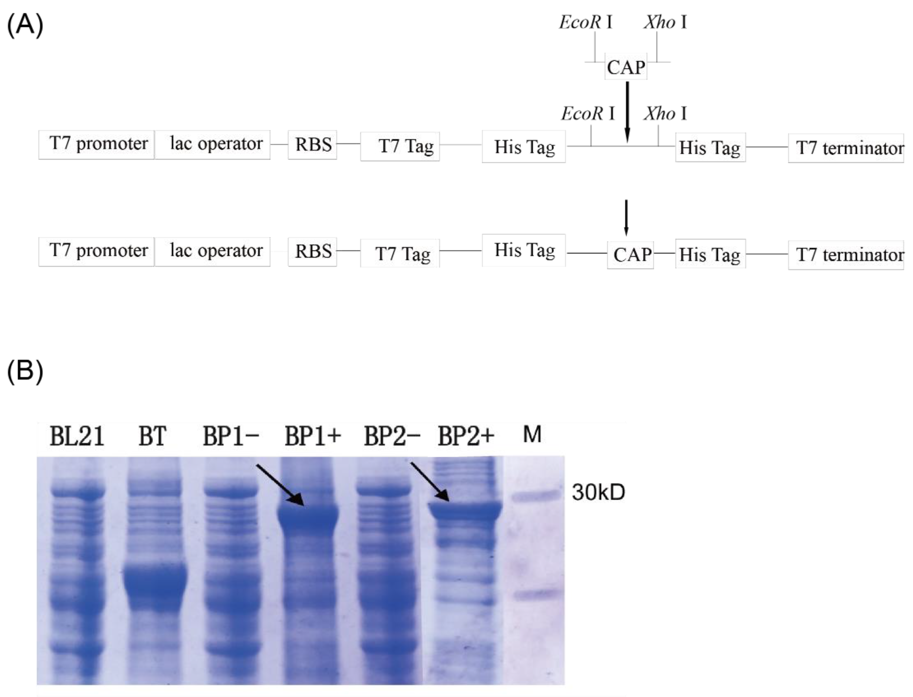 Forests 14 01632 g006 Forests 14 01632 g006