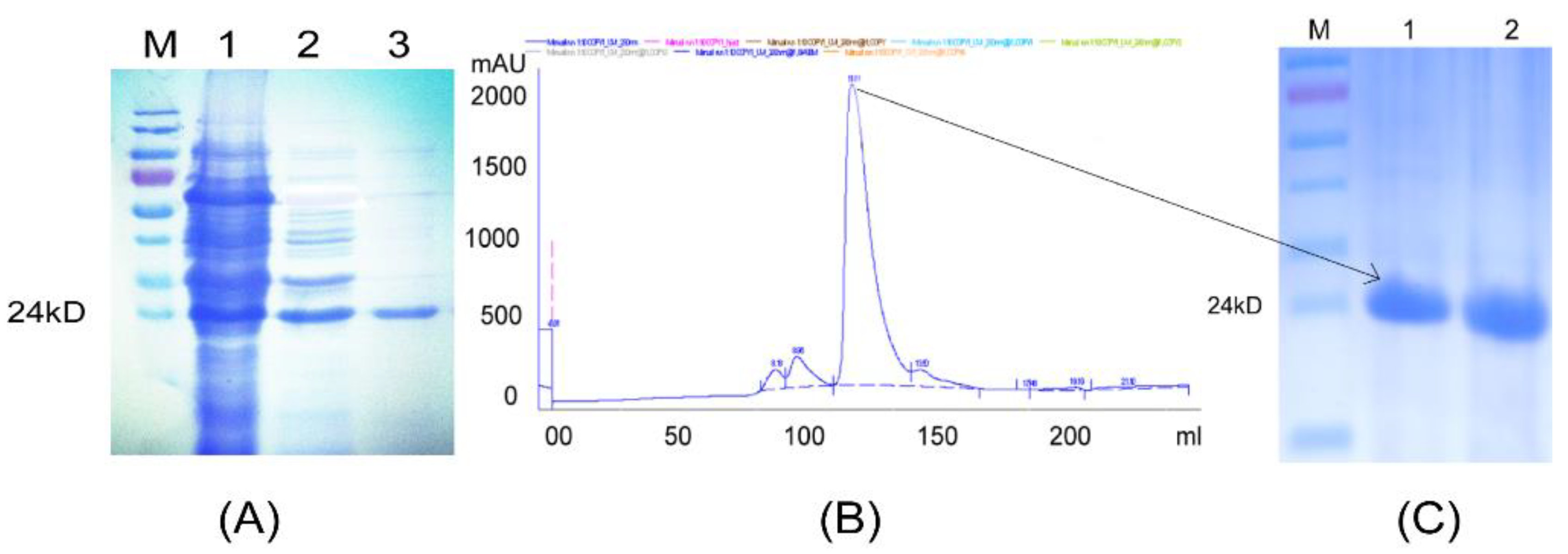 Forests 14 01632 g008 Forests 14 01632 g008
