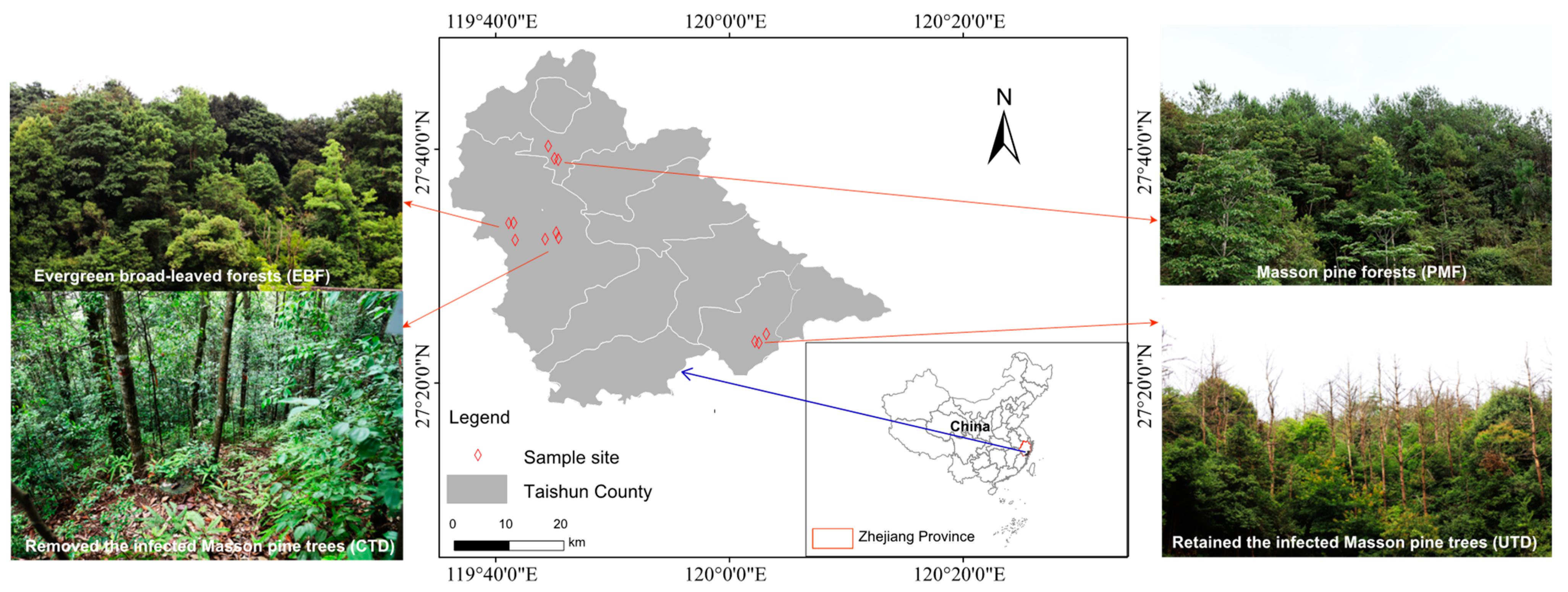 Forests 14 01636 g001