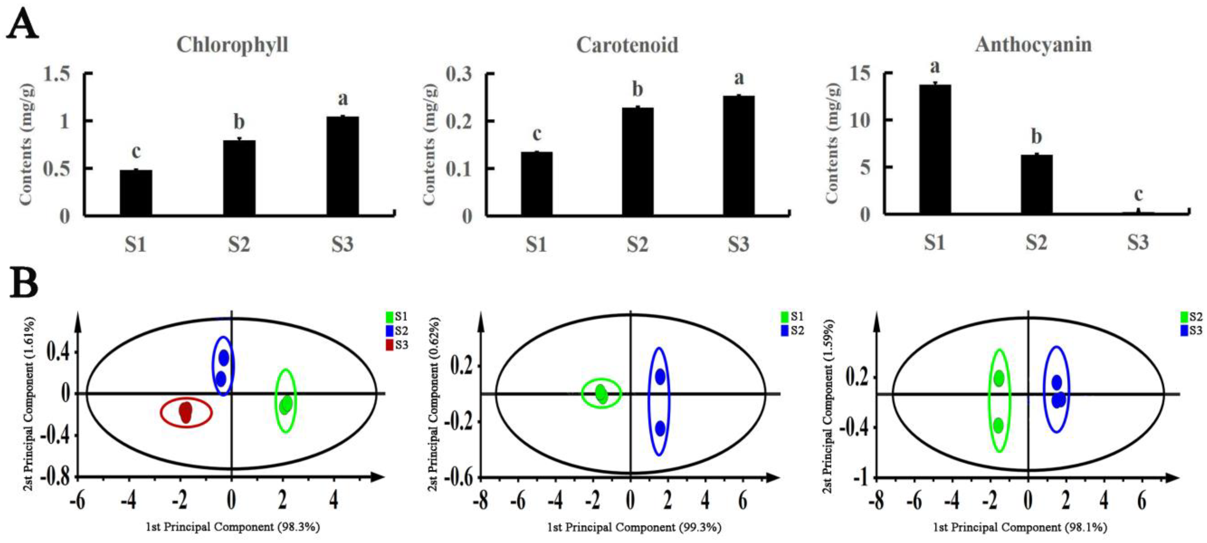 Forests 14 01638 g002 Forests 14 01638 g002