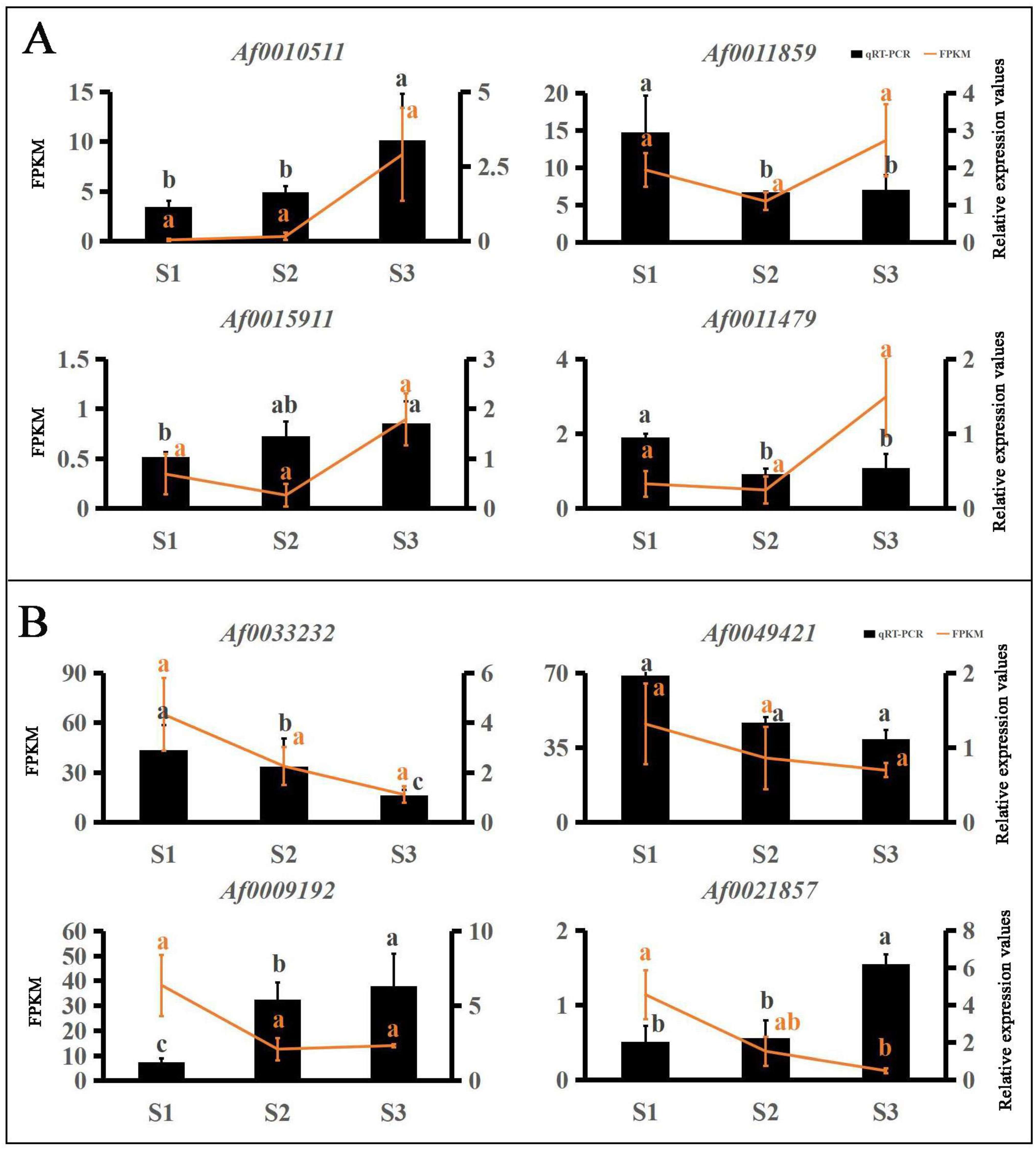 Forests 14 01638 g005 Forests 14 01638 g005