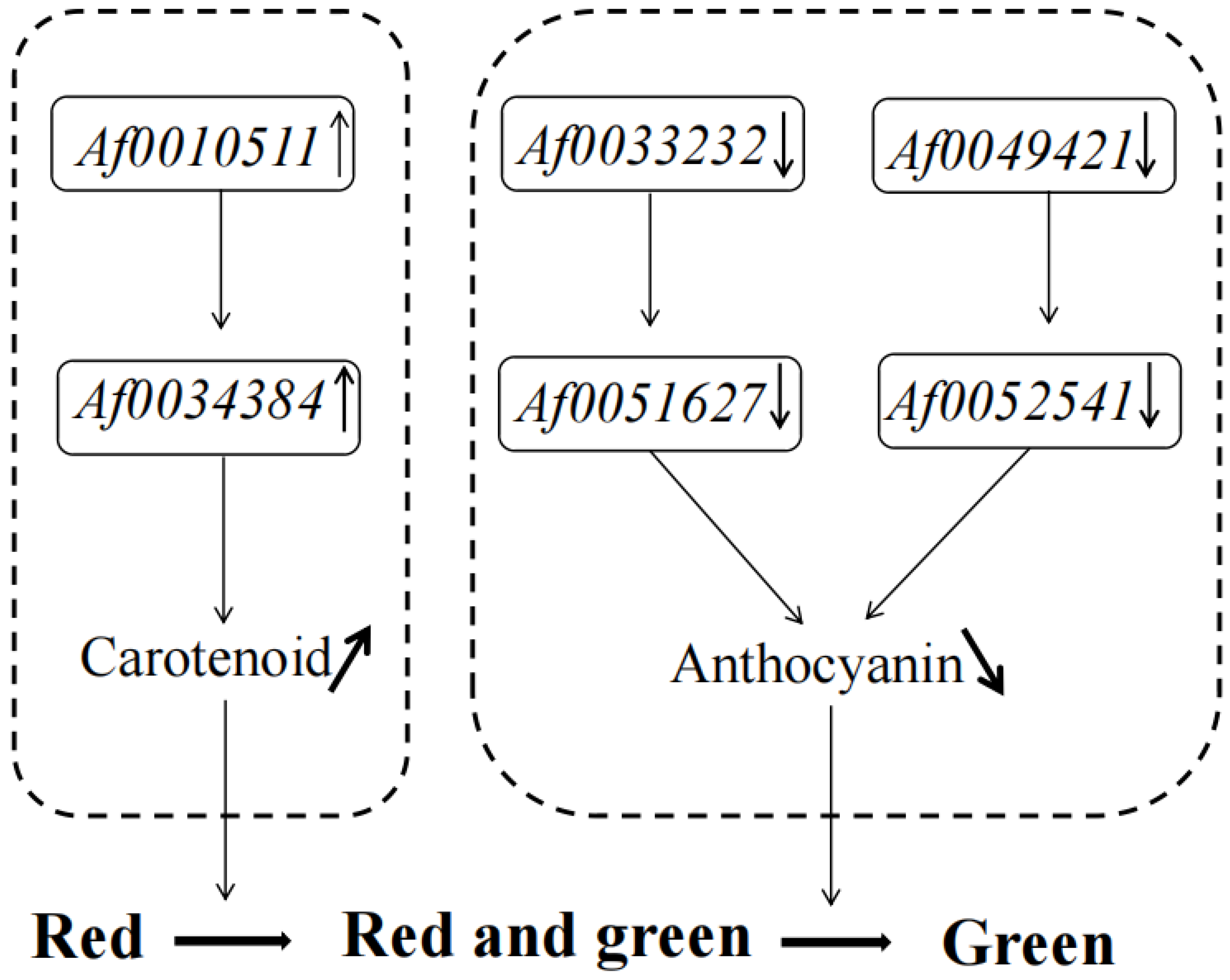Forests 14 01638 g008 Forests 14 01638 g008