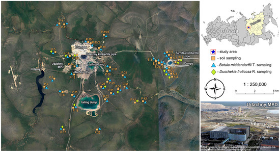 Forests | Free Full-Text | An Assessment Of The Impact Of The.