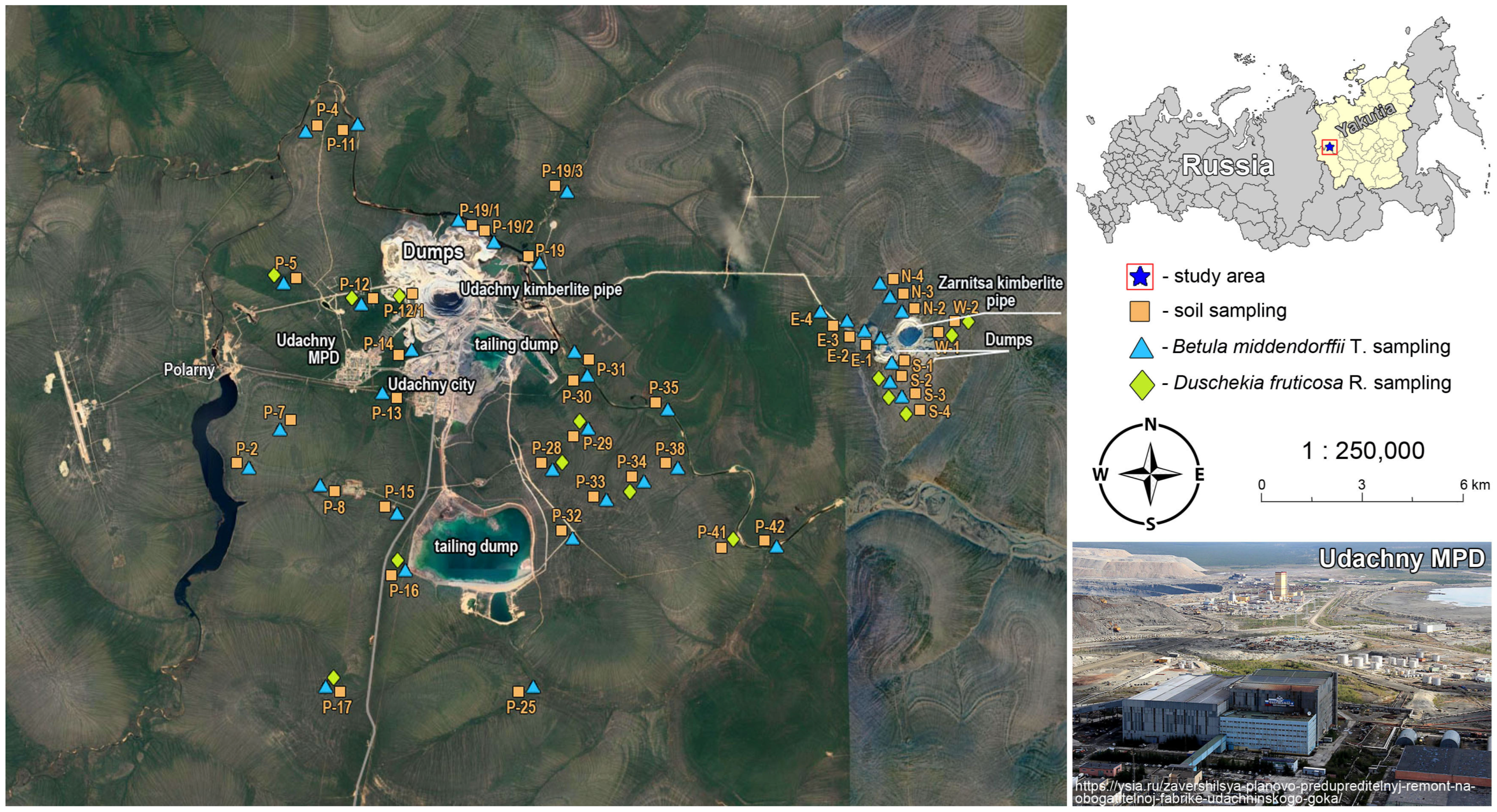 Forests | Free Full-Text | An Assessment Of The Impact Of The.