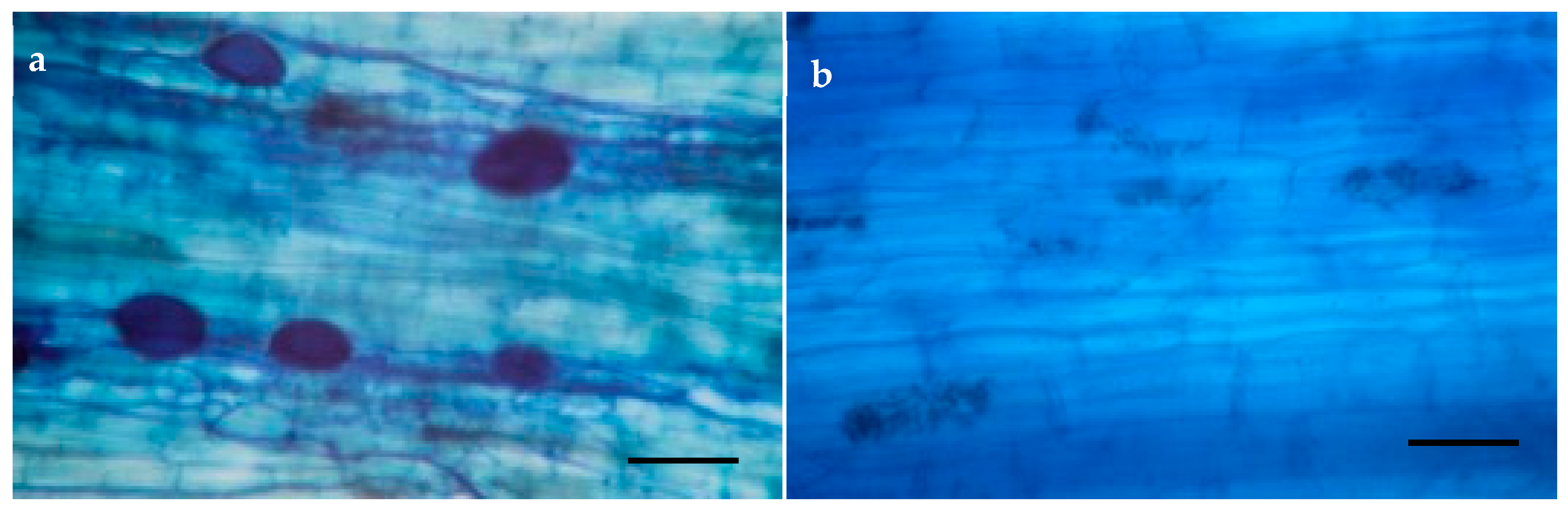 Forests 14 01649 g002