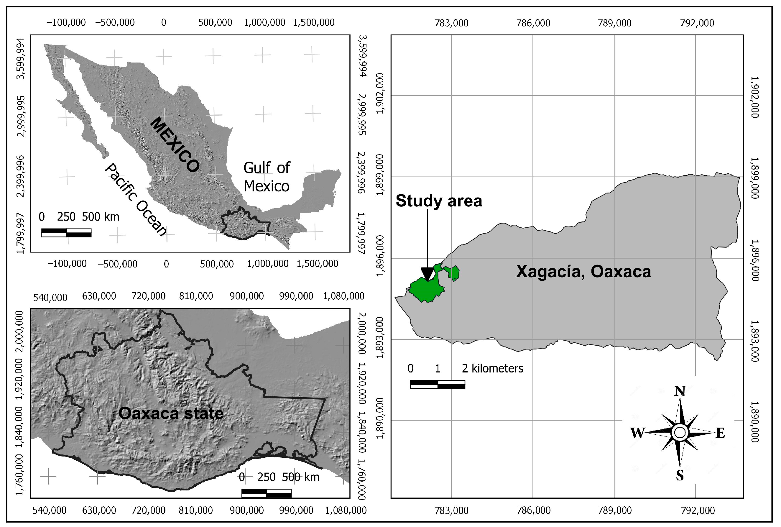 Forests 14 01654 g001