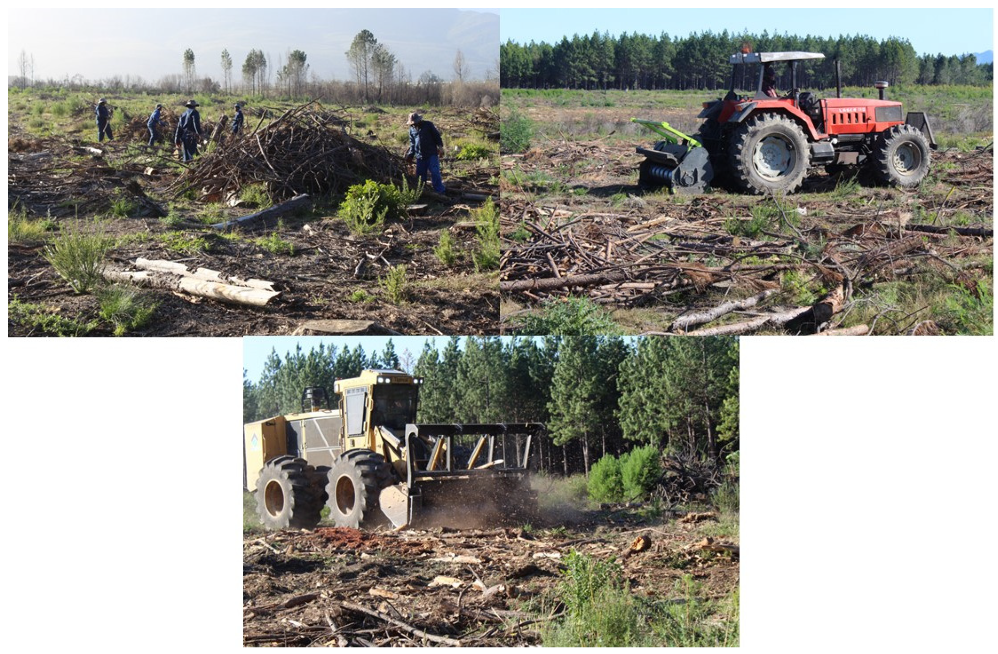 Forests 14 01661 g001 Forests 14 01661 g001