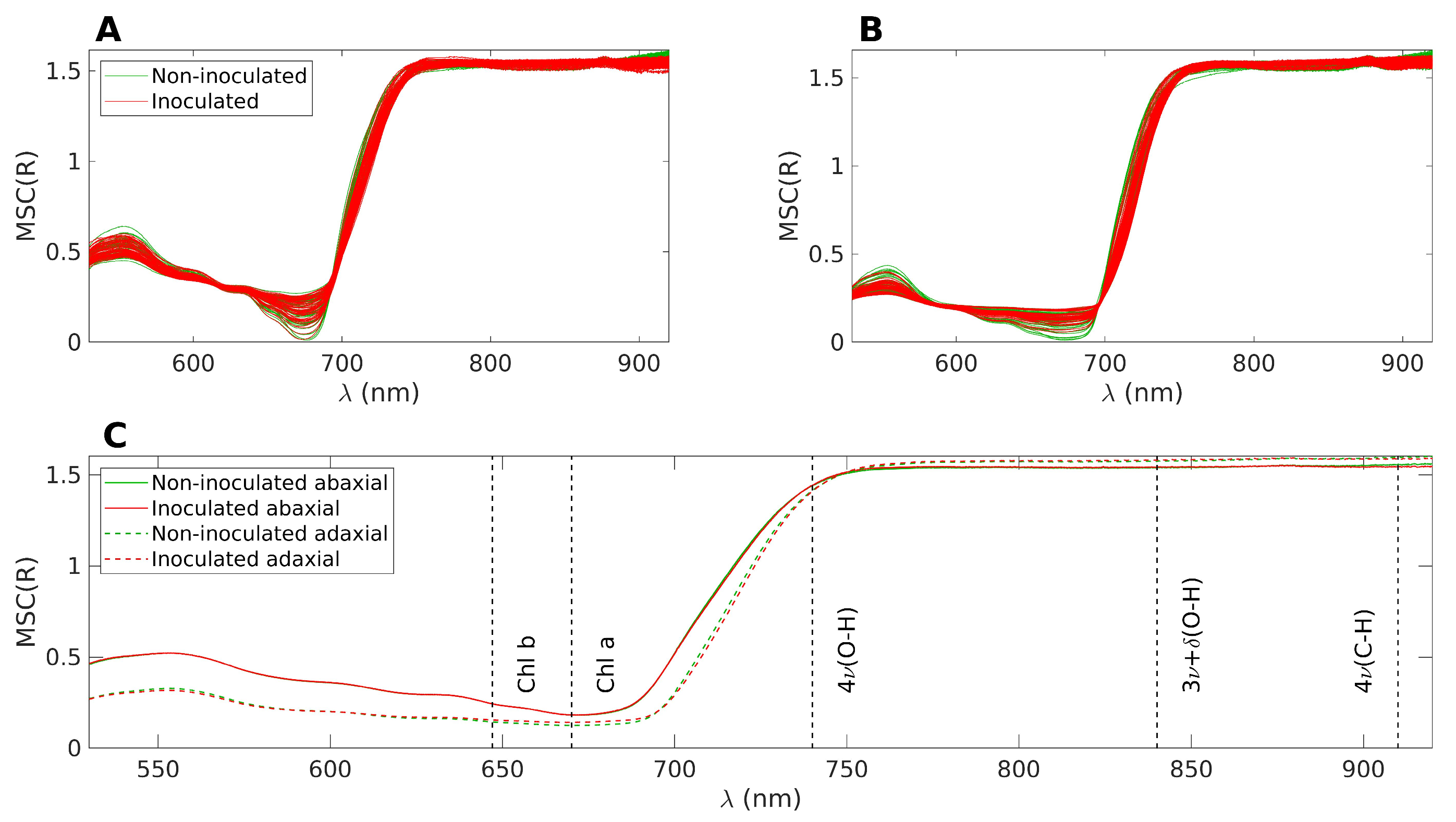 Forests 14 01663 g002