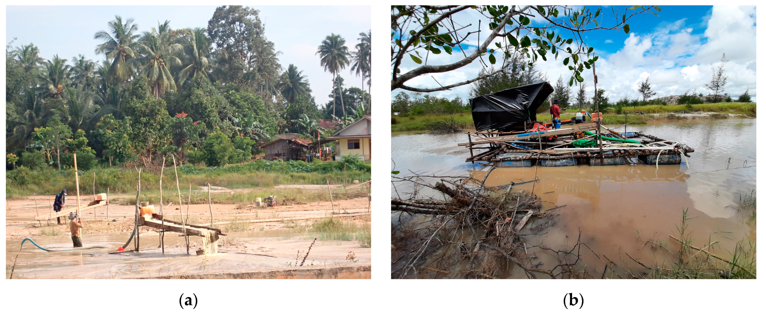 Forests 14 01666 g006