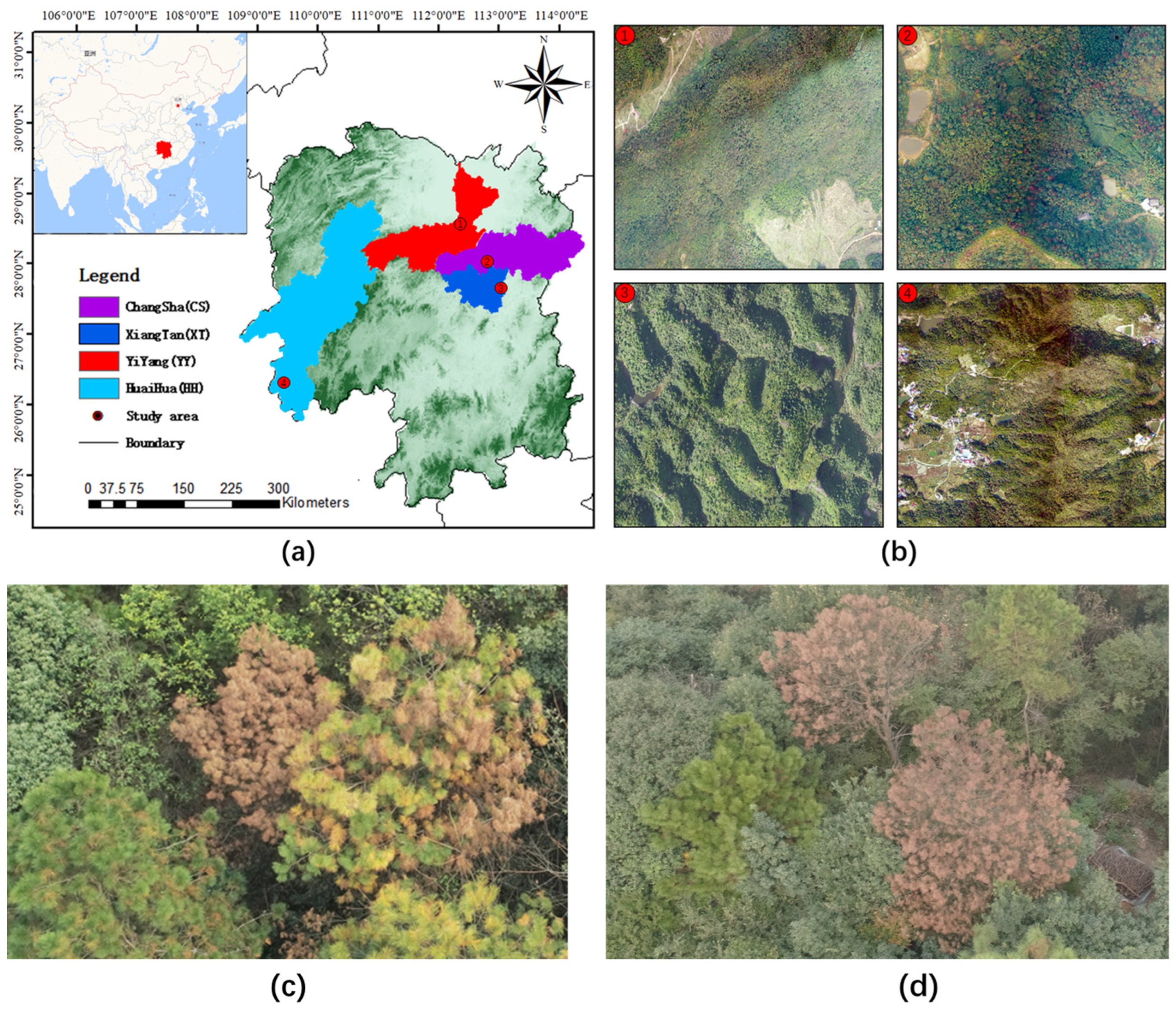 Forests 14 01672 g001